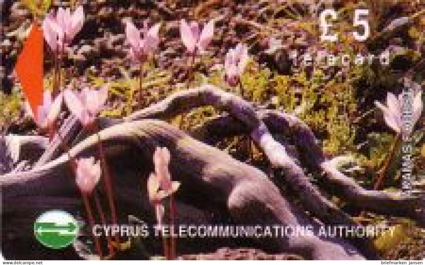 Telefonkarte Zypern, Pflanzen Akamas Forest (2), 5 - Non Classificati