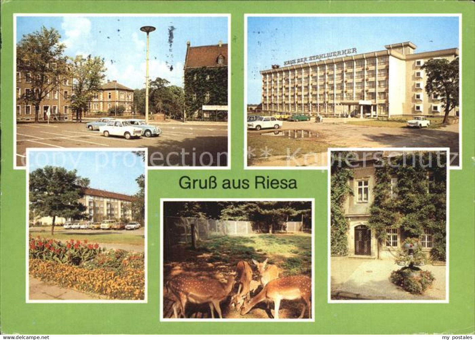 72416168 Riesa Sachsen Leninplatz Haus Der Stahlwerker Tierpark Rathaus  Jahnish - Riesa