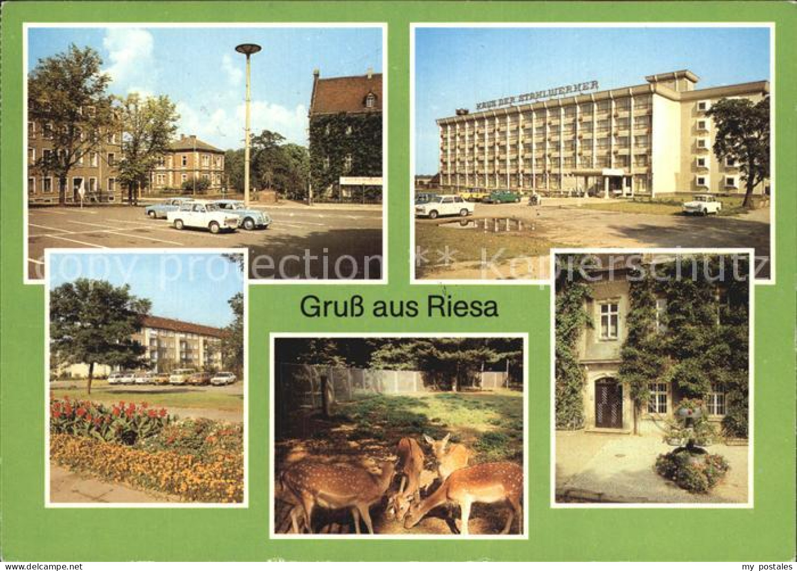 72415500 Riesa Sachsen Leninplatz Tierpark Rathaus Greifswalder Strasse  Jahnish - Riesa