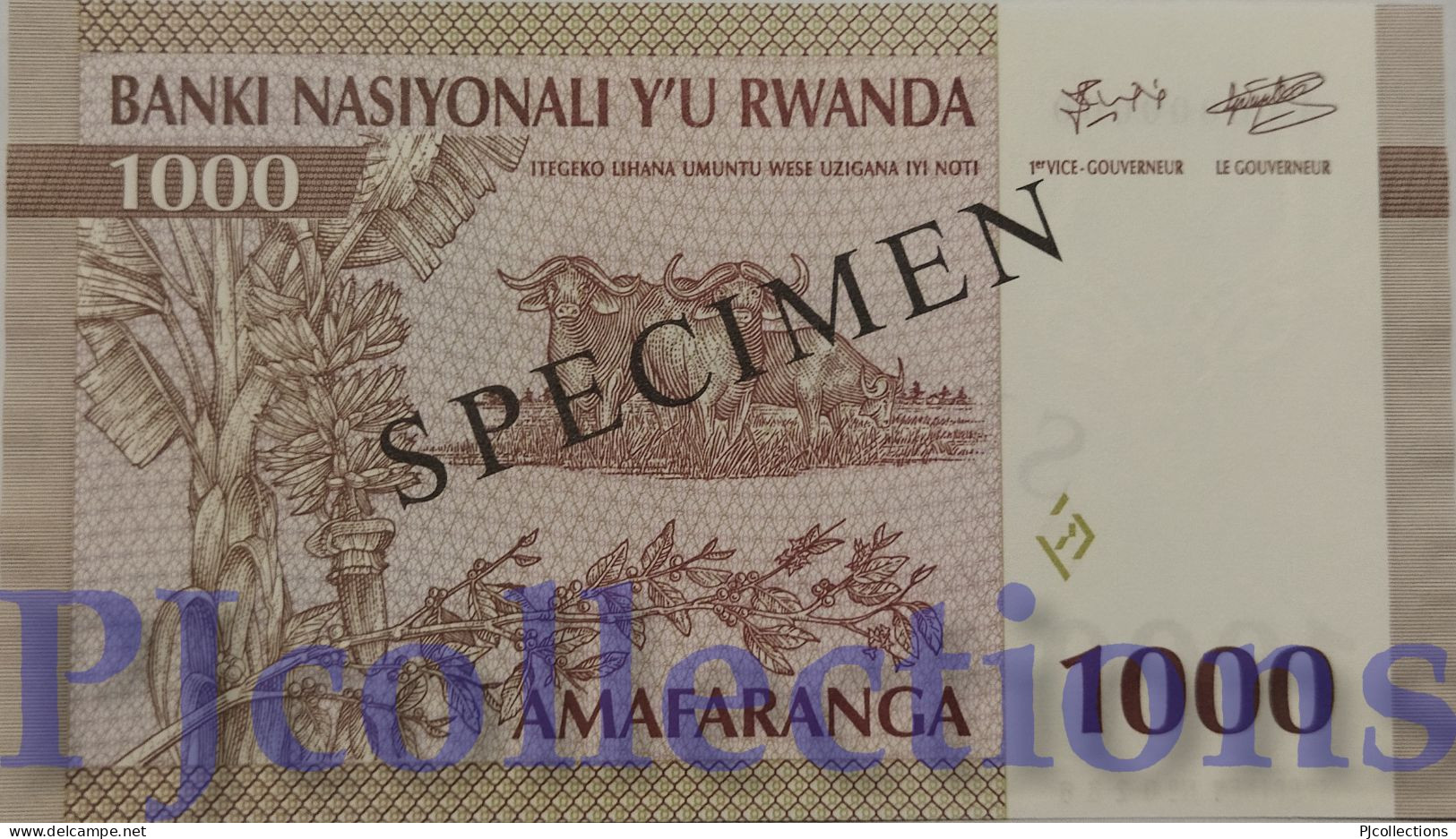 RWANDA 1000 FRANCS 1994 PICK 24s SPECIMEN UNC - Ruanda