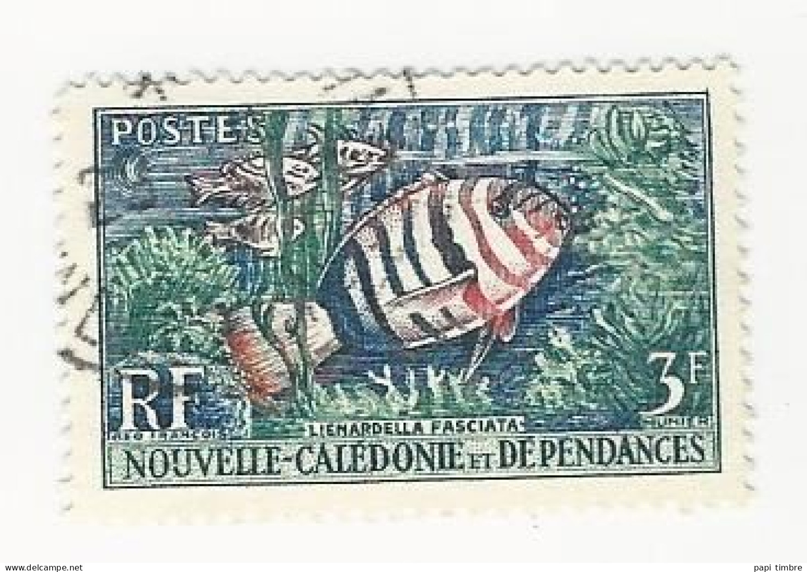 Nouvelle Calédonie - 1959 Coraux Et Poissons - N° 292 Oblitéré - Usati