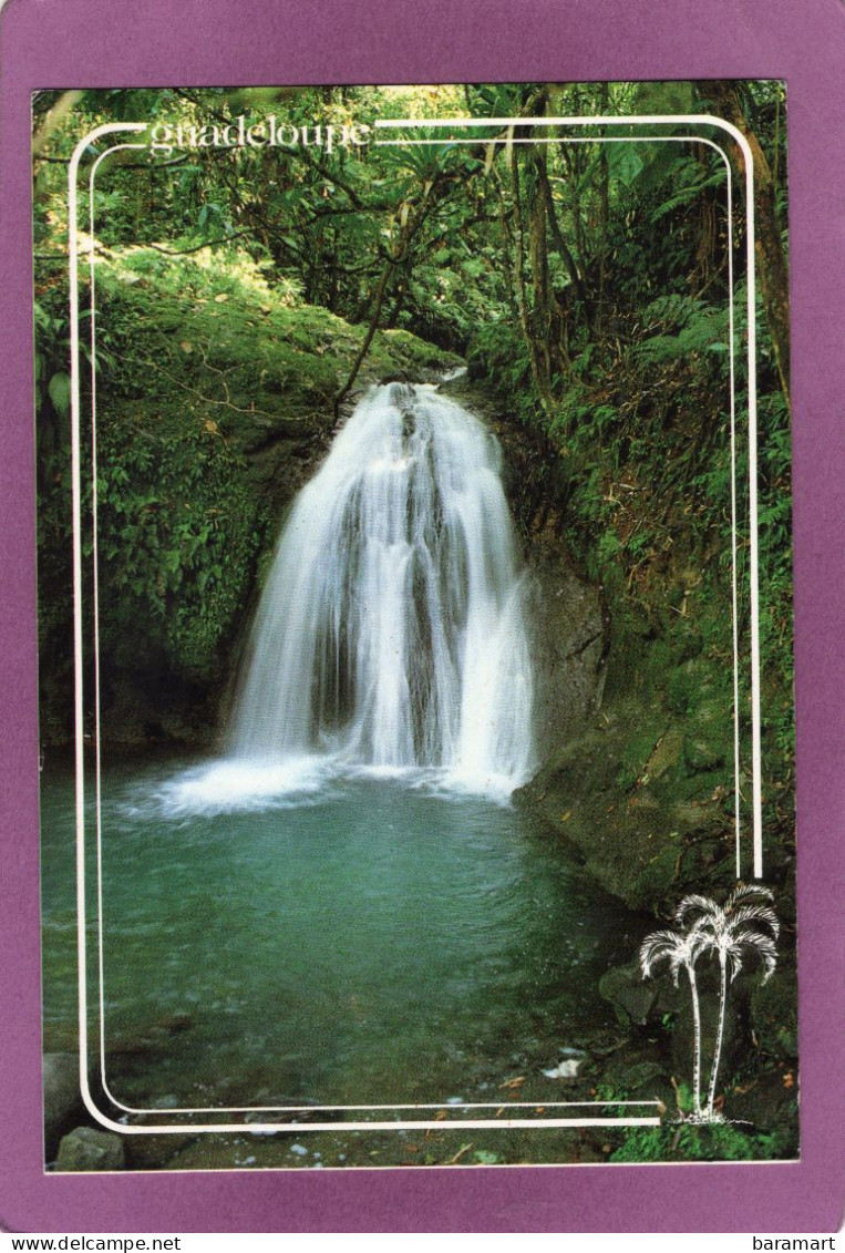 97 971 Guadeloupe  Basse Terre Petit-Bourg  LA CASCADE AUX ECREVISSES - Basse Terre