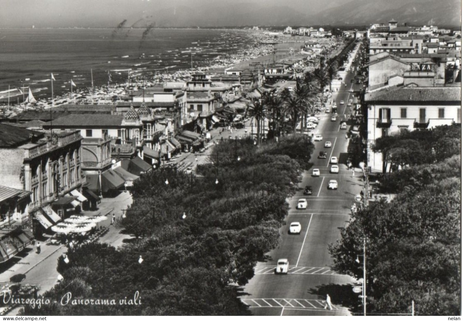 VIAREGGIO - PANORAMA - VIALI  - F.G. - Viareggio