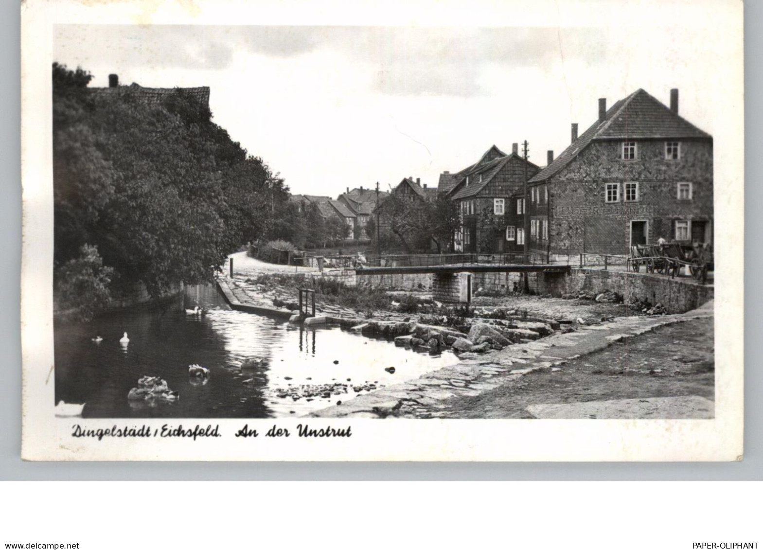 0-5603 DINGELSTÄDT/ Eichsfeld, An Der Unstrut, 1965 - Heiligenstadt