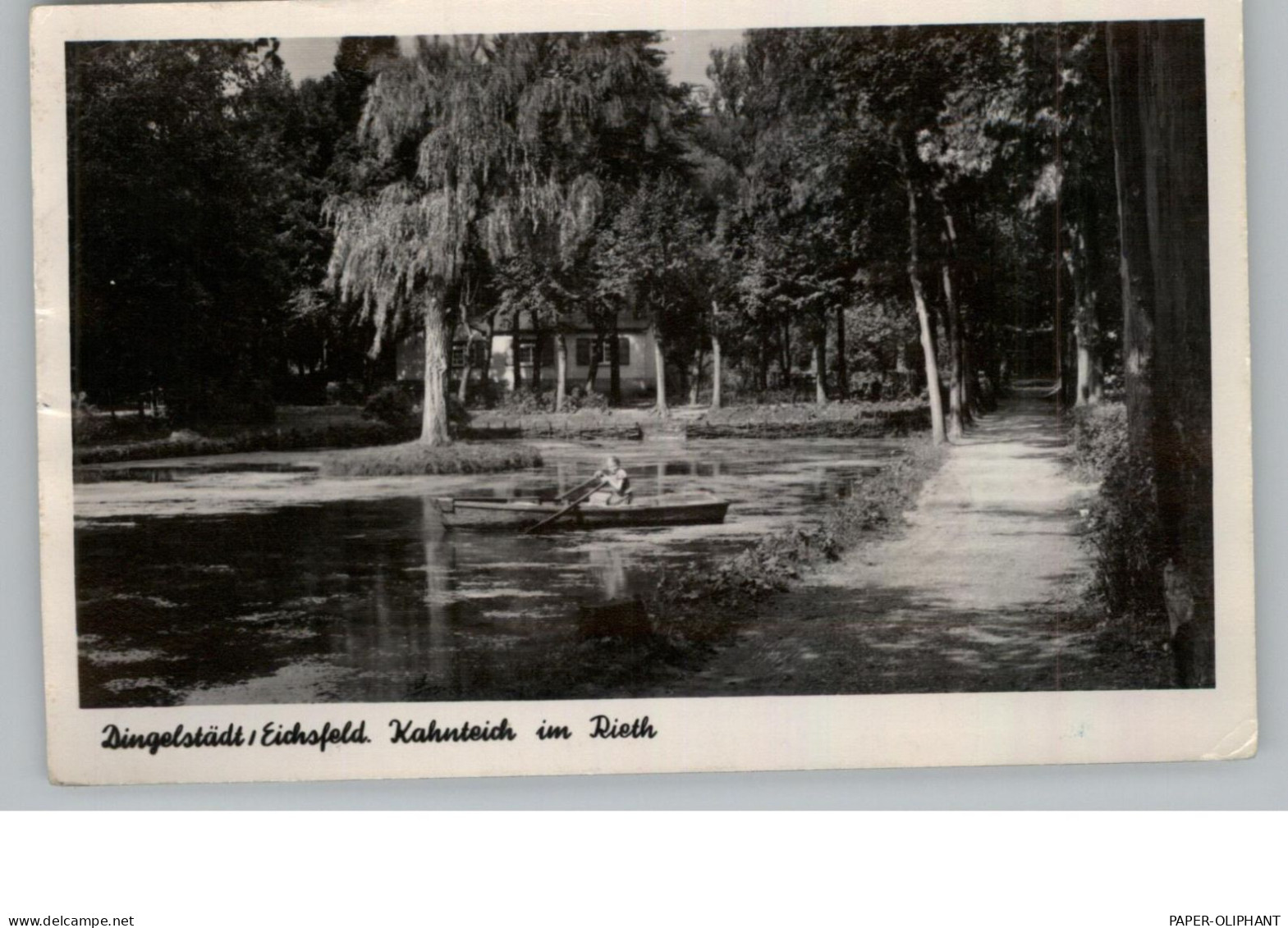 0-5603 DINGELSTÄDT/ Eichsfeld, Kahnteich Im Ried, 1956 - Heiligenstadt