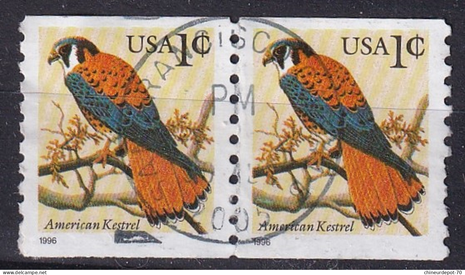 EN PAIRE American Kestrel 1996 CACHET San Francisco  Californie - Used Stamps