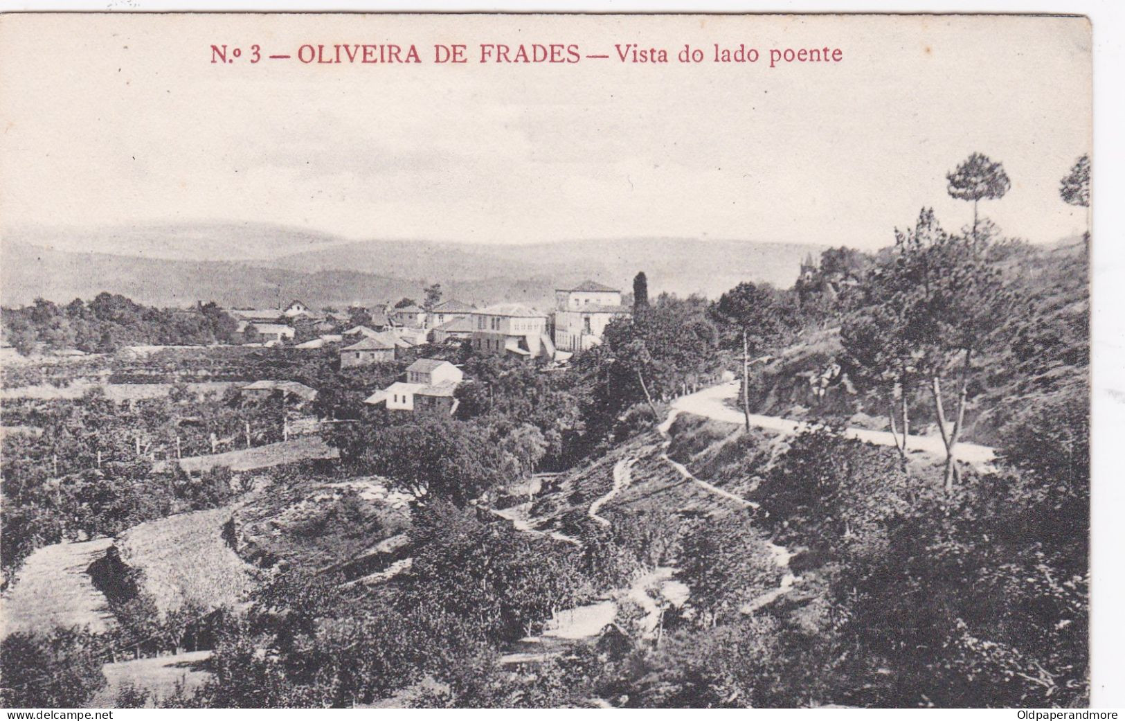 POSTCARD PORTUGAL - OLIVEIRA DE FRADES - VISTA DO LADO PONTE - Viseu