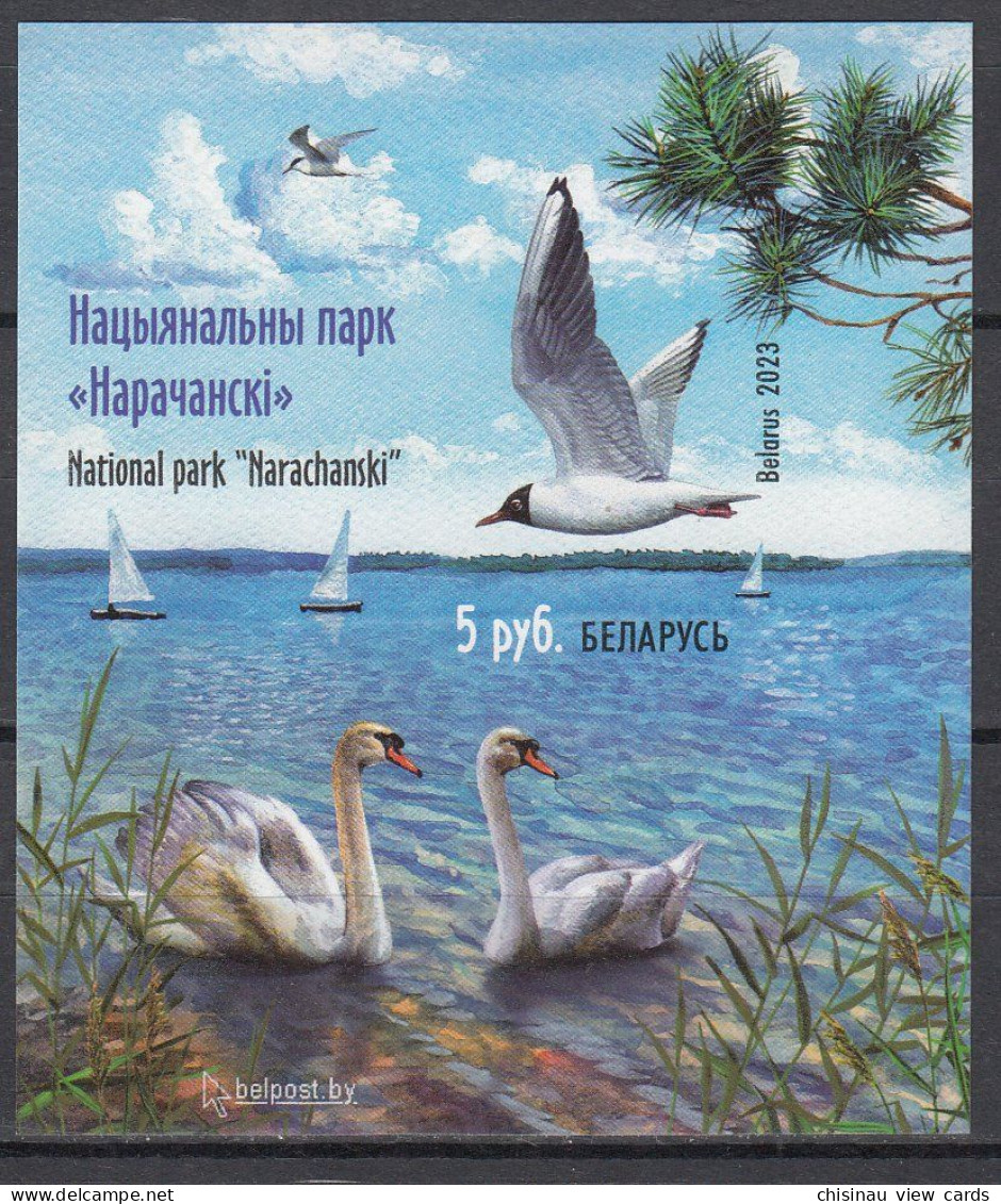 BELARUS 2023 National Park “Narachanski”Swans.Block.not Dental.MNH - Schwäne