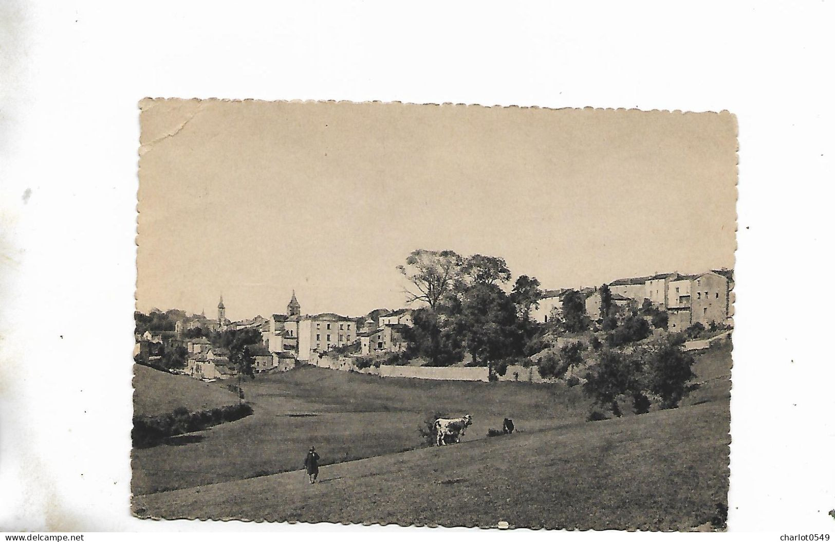 Vue Panoramique - Montfaucon En Velay