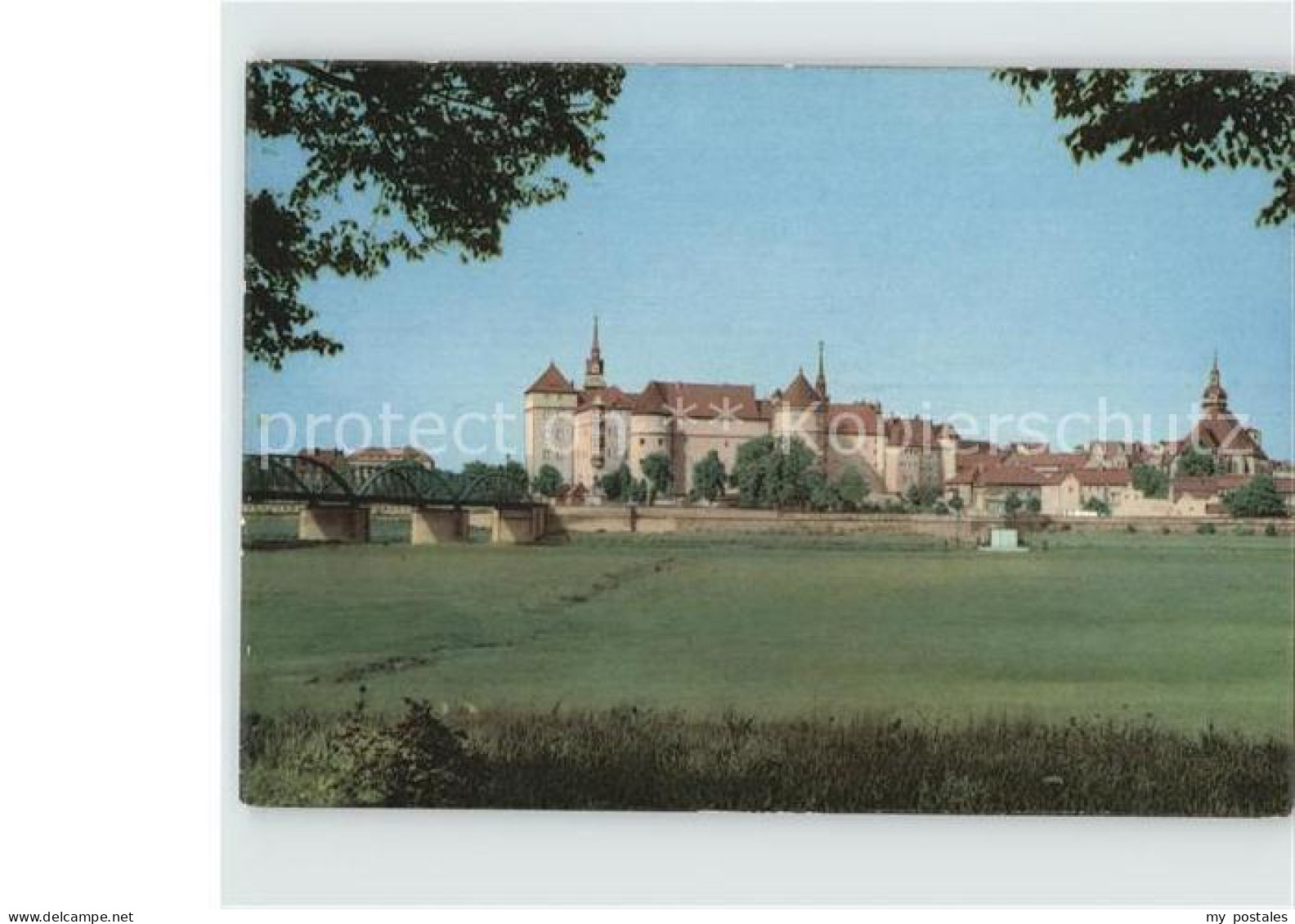 72413814 Torgau Schloss Hartenfels Torgau - Torgau