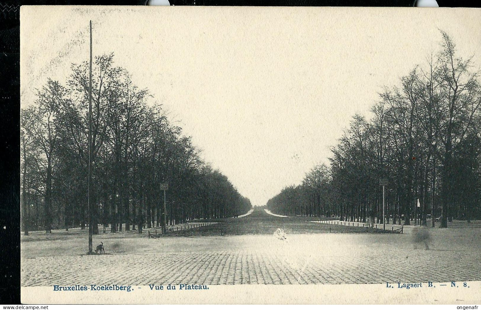 Vue Du Plateau - Neuve - - Koekelberg