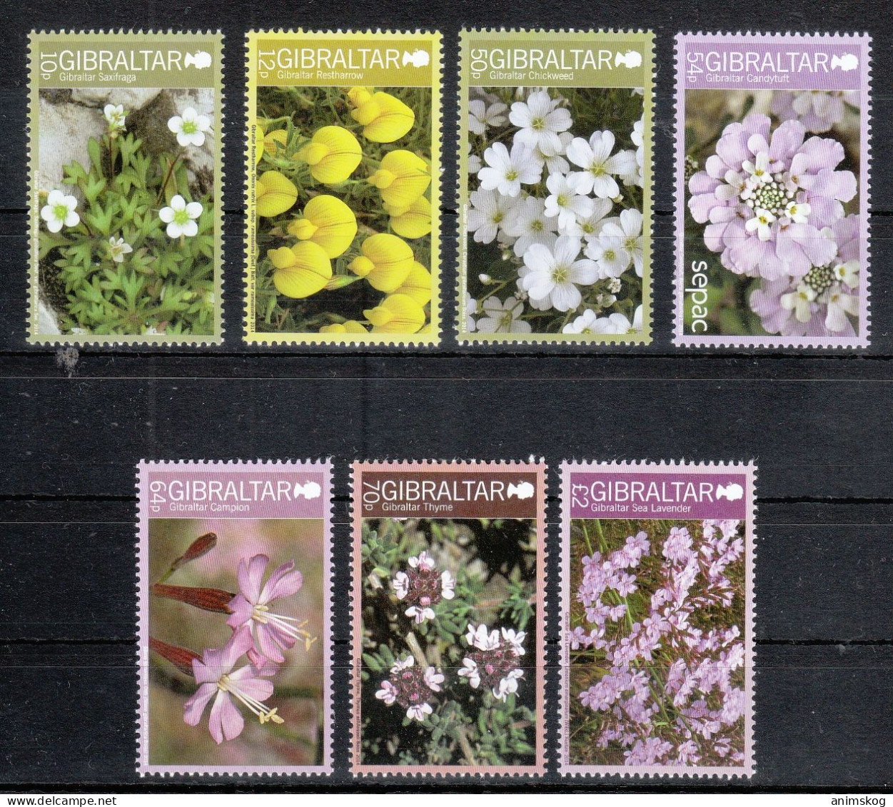 Gibraltar 2014**, Endemische Pflanzen, Sukkulente / Gibraltar 2014, MNH, Endemic Plants, Succulent - Sukkulenten