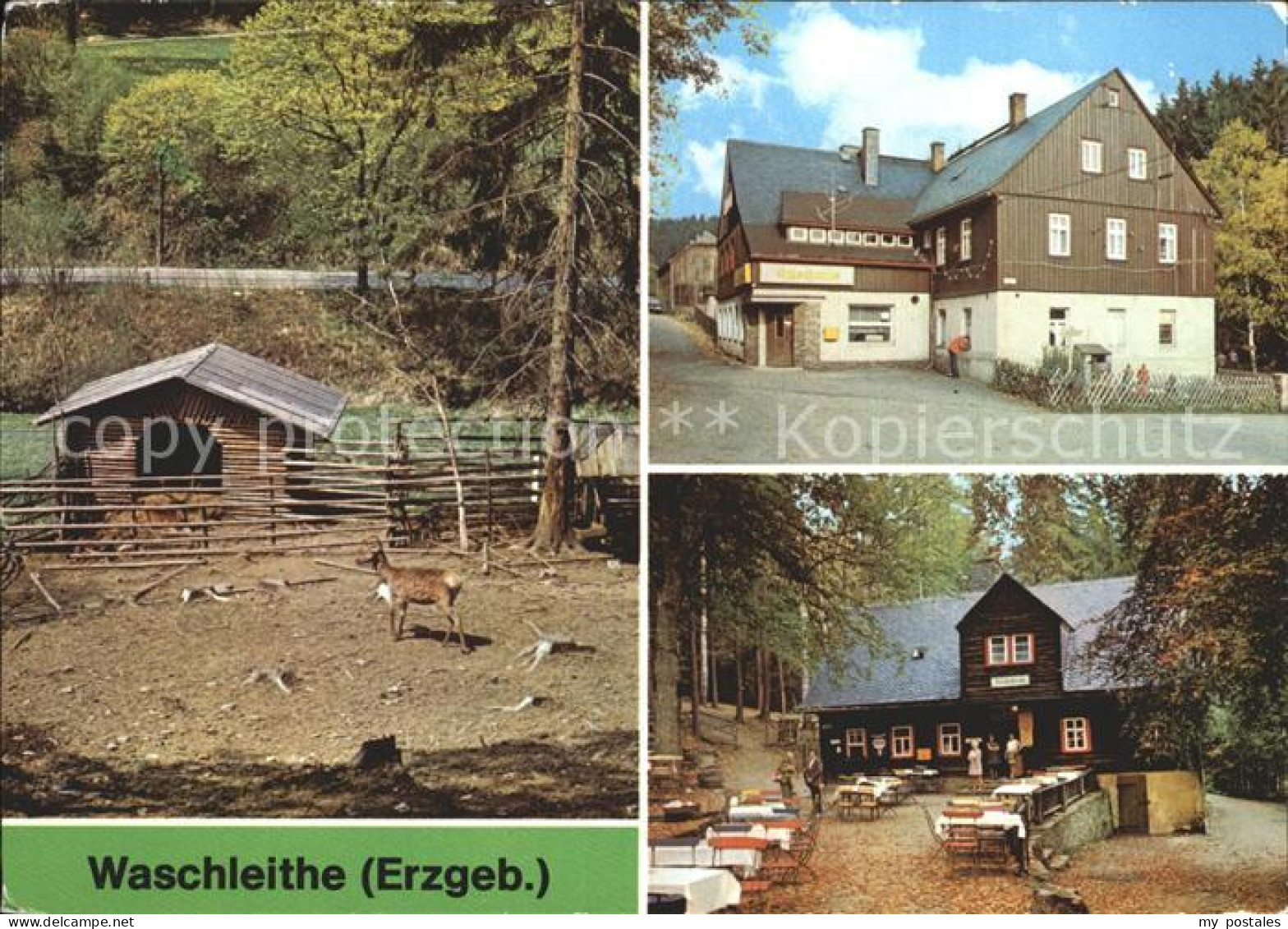 72329439 Waschleithe Tierpark Gaststaette Osterlamm Koehlerhuette Beierfeld Erzg - Gruenhain