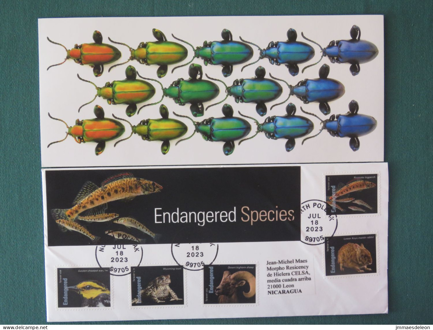 USA 2023 Cover North Pole To Nicaragua - Endangered Animal Species - Covers & Documents