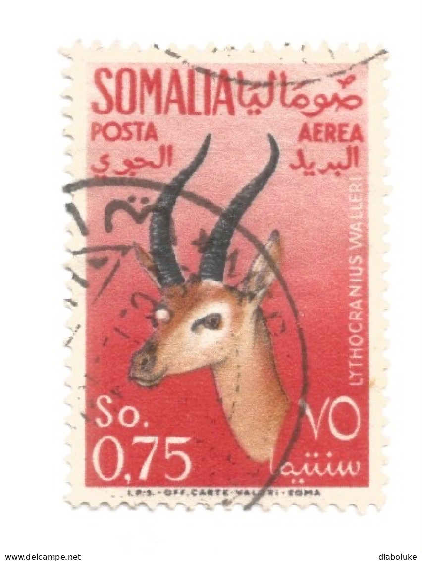 (COLONIE E POSSEDIMENTI) 1955, POSTA AEREA, ANIMALI - 2 Francobolli Usati (CAT. SASSONE N.29-30) - Somalië (AFIS)