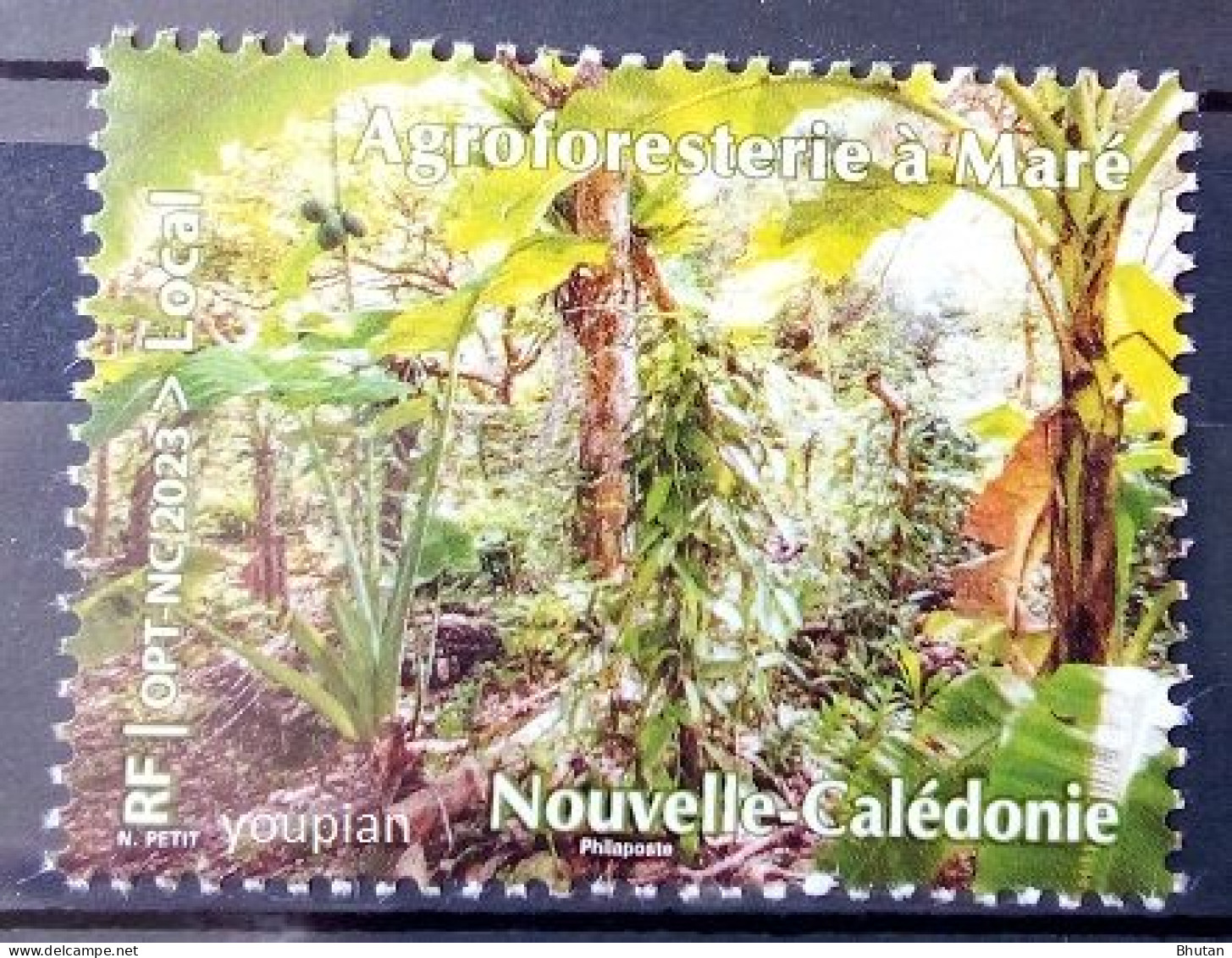 New Caledonia 2023, Agroforestry At Mare, MNH Single Stamp - Nuovi