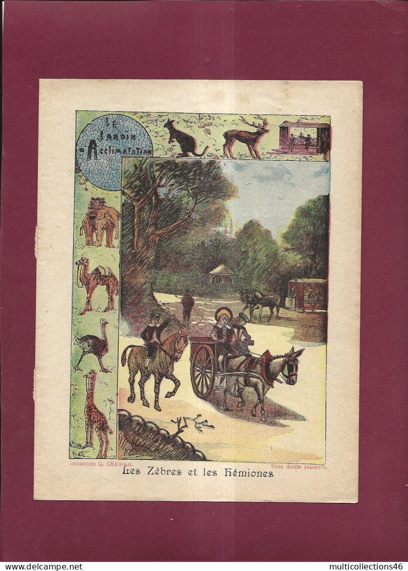 060224 - PROTEGE CAHIER - Le Jardin D'acclimatation - Zèbres Et Hémiones - Attelage âne - Collection C Charier  - Protège-cahiers