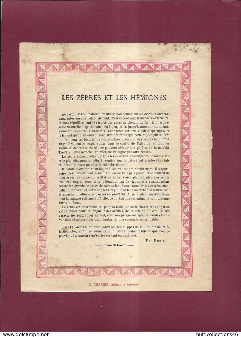 060224 - PROTEGE CAHIER - Le Jardin D'acclimatation - Zèbres Et Hémiones - Attelage âne - Collection C Charier  - Protège-cahiers