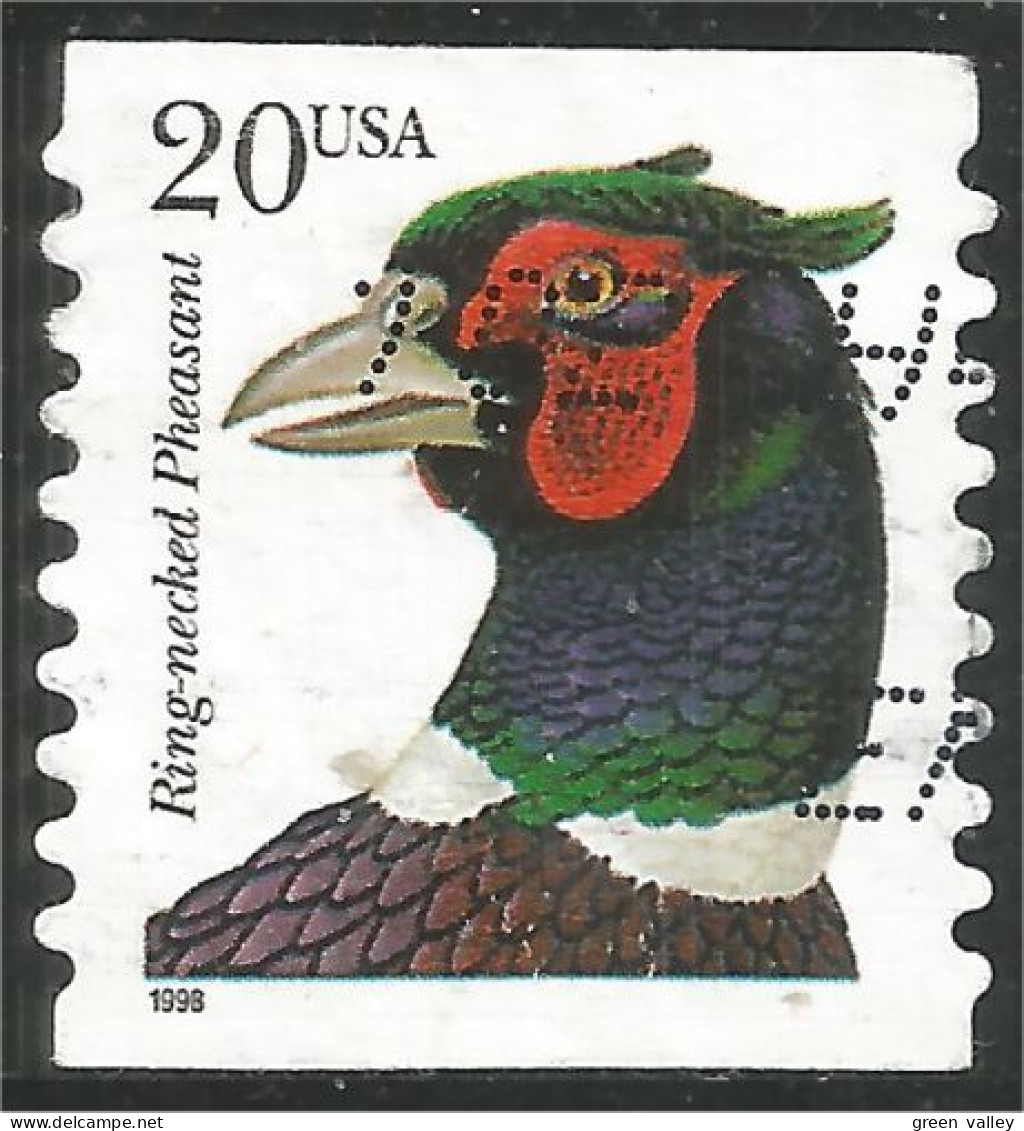 XW01-0433 USA Oiseau Bird Vogel Uccello Faisan Collier Ring-necked Pheasant Coil Roulette - Gallinacées & Faisans