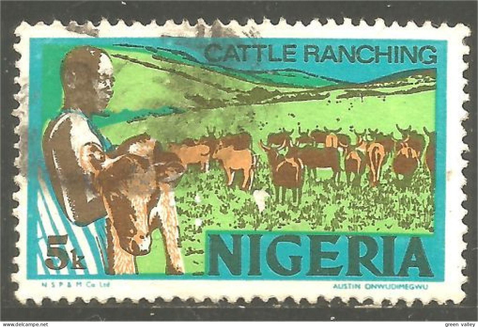 XW01-0968 Nigeria Cattle Ranshing Élevage Vaches Boeuf Veau Calf Beef Cow Kuh Koe Vaca Vacca - Vaches