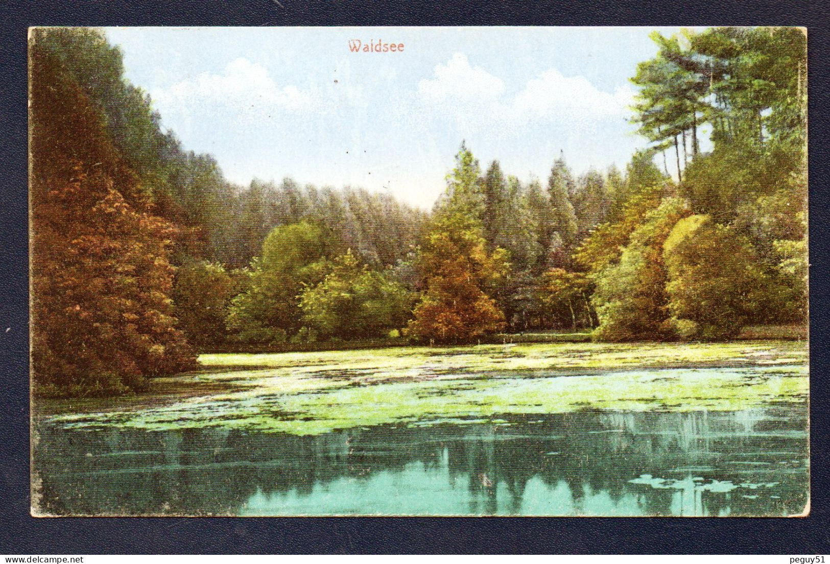 Allemagne. Waldsee. Panorama. Feldpost Camouflé  3. Husaren Regiment - 5. Eskadron. Juin 1917 - Schifferstadt