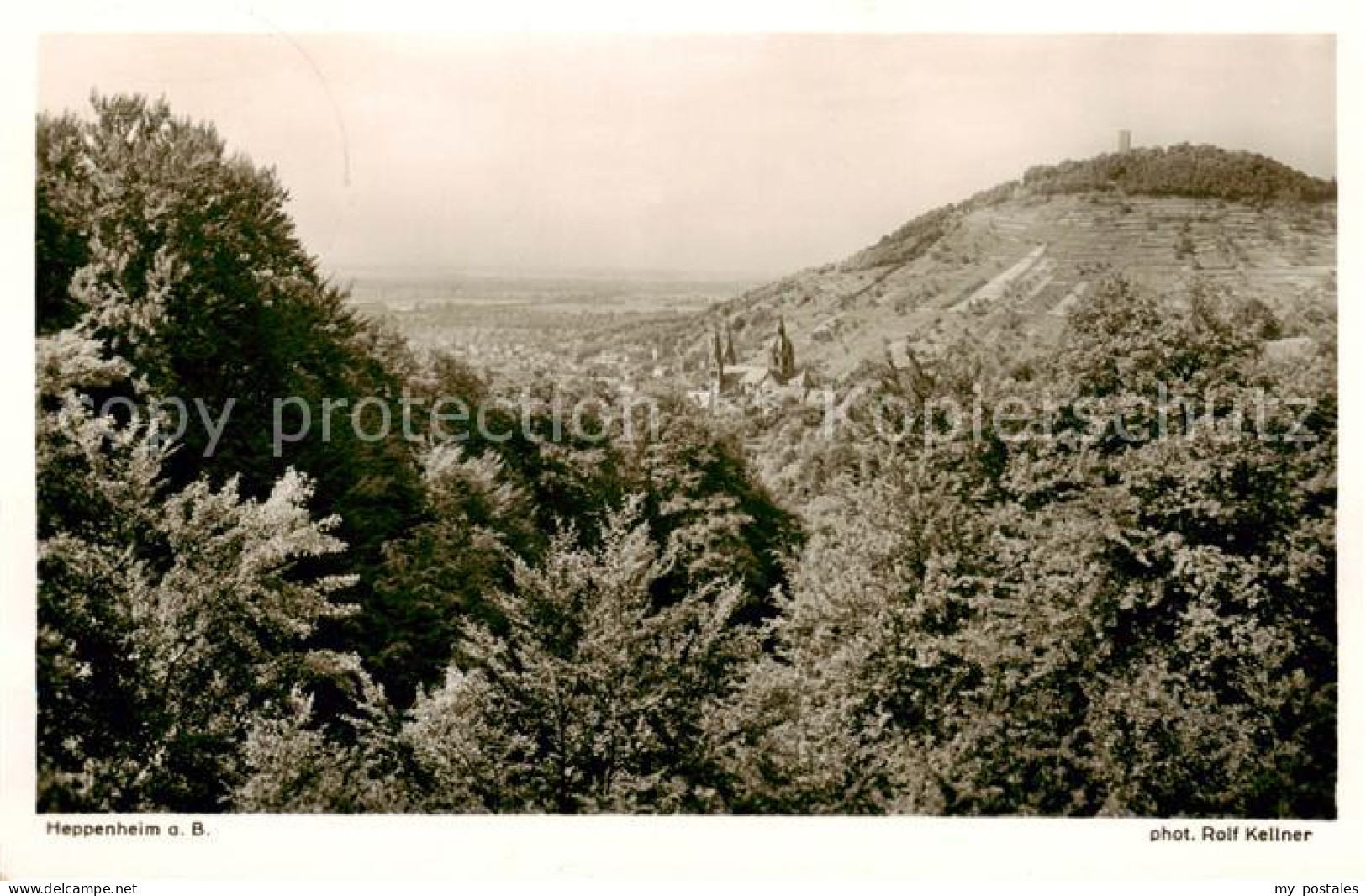 73809914 Heppenheim Bergstrasse Panorama Heppenheim Bergstrasse - Heppenheim