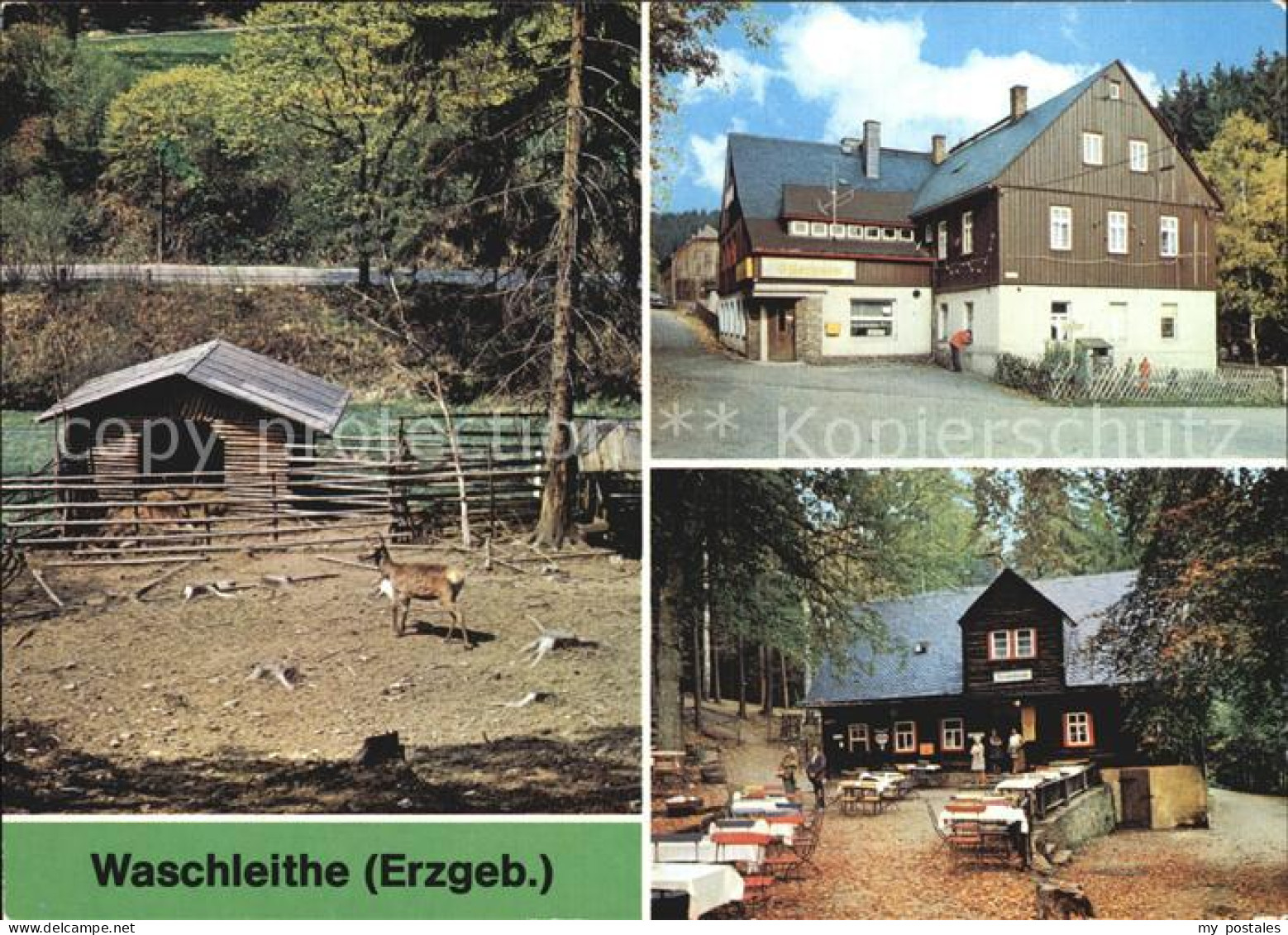 72528516 Waschleithe Tierpark Gaststaetten Osterlamm Koehlerhuette Beierfeld Erz - Gruenhain