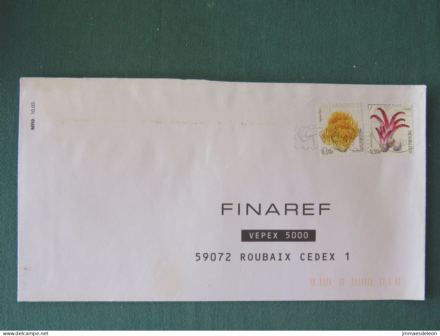 Luxembourg 2013 Cover To France - Flowers - Philately Slogan - Covers & Documents