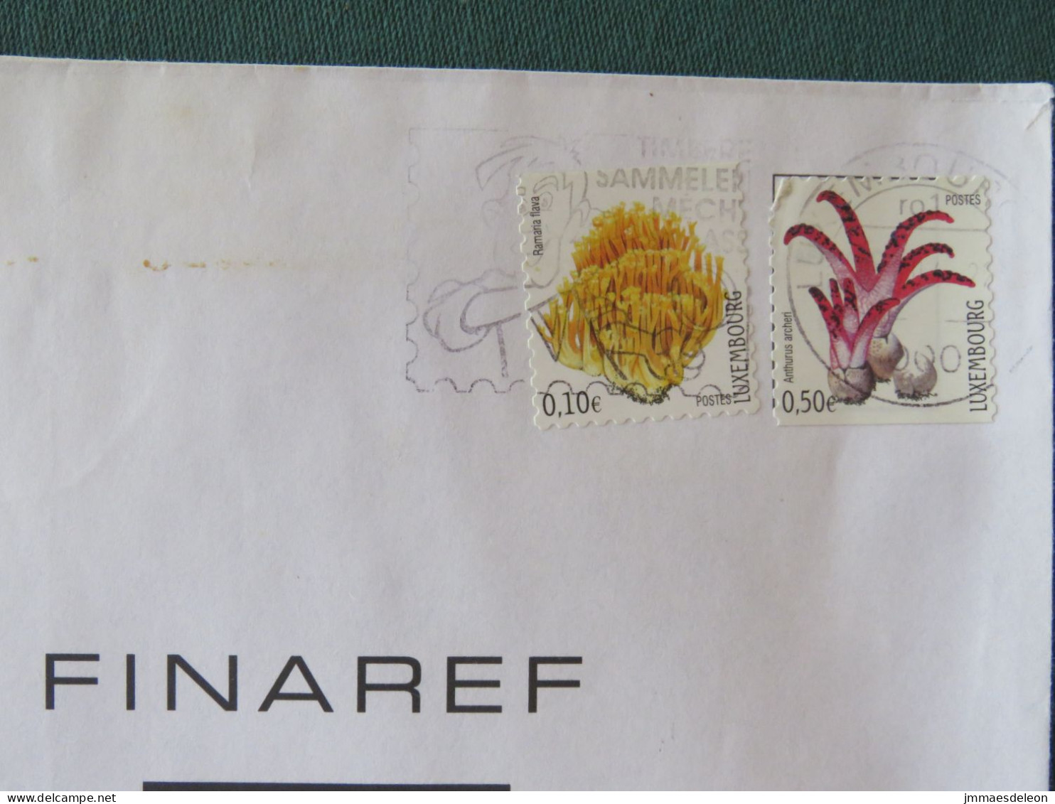 Luxembourg 2013 Cover To France - Flowers - Philately Slogan - Lettres & Documents