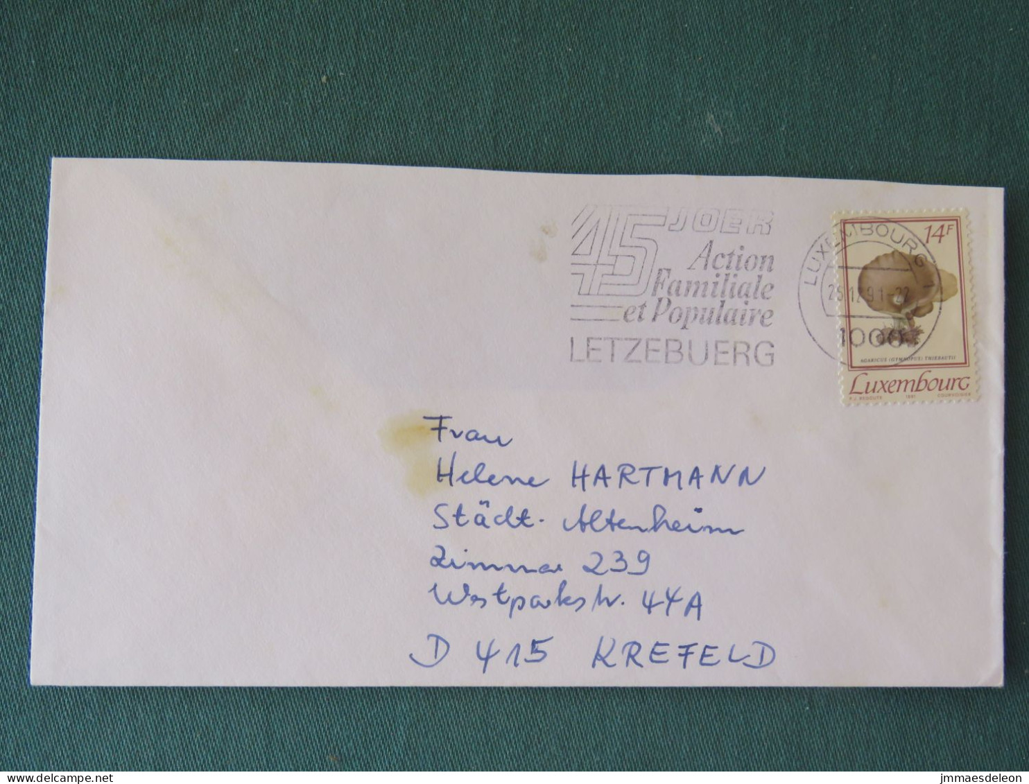 Luxembourg 1991 Cover To Germany - Mushroom - Family Slogan - Cartas & Documentos