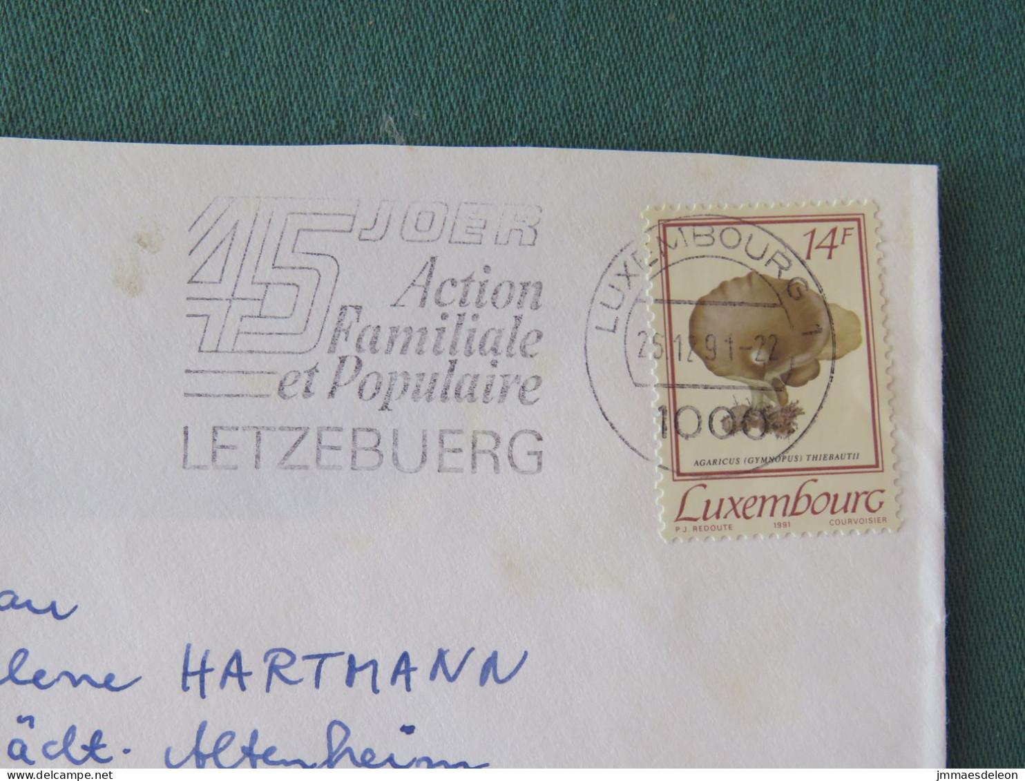 Luxembourg 1991 Cover To Germany - Mushroom - Family Slogan - Storia Postale