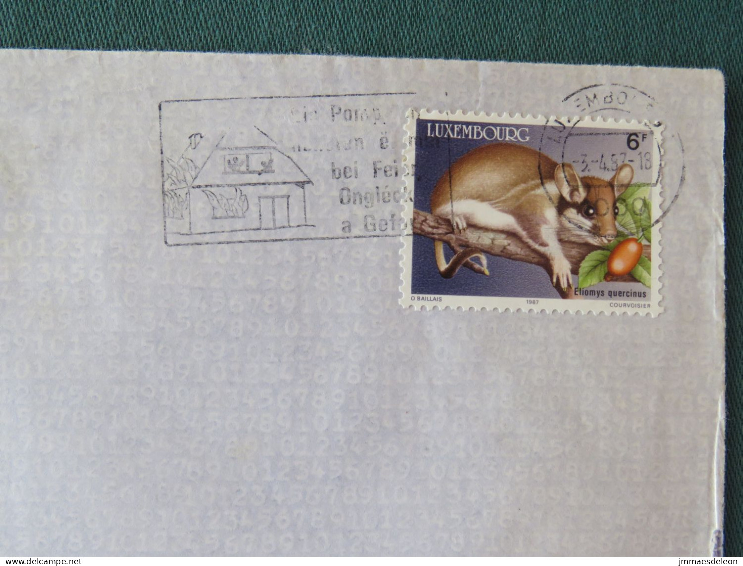 Luxembourg 1987 Cover Luxembourg - Animal Eliomys - Lettres & Documents