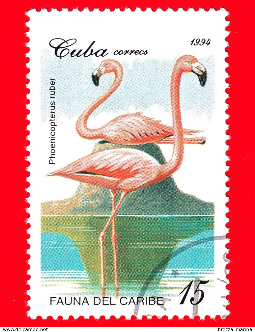 CUBA - Nuovo - 1994 - Fauna Dei Caraibi - Uccelli - Fenicotteri (Phoenicopterus Ruber) - 15 - Unused Stamps