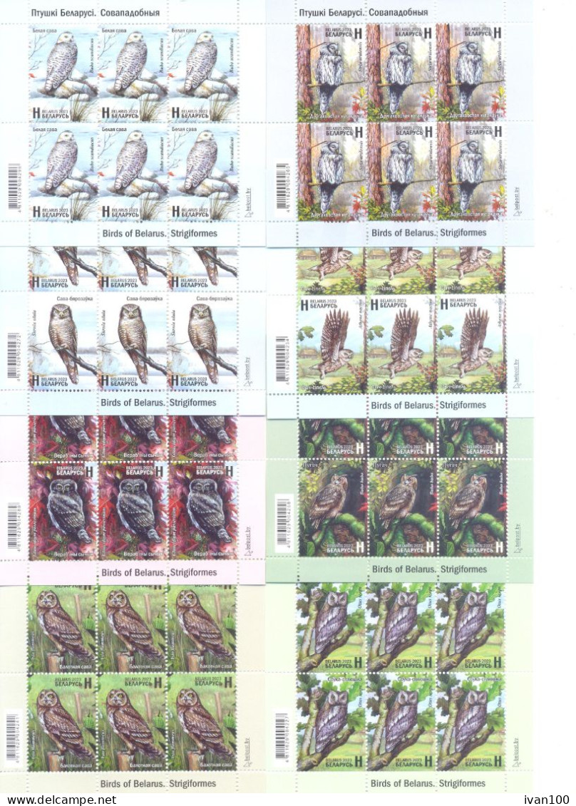 2023. Belarus, Birds Of Belarus, Owls/Strigiformes, 8 Sheetlets, Mint/** - Belarus