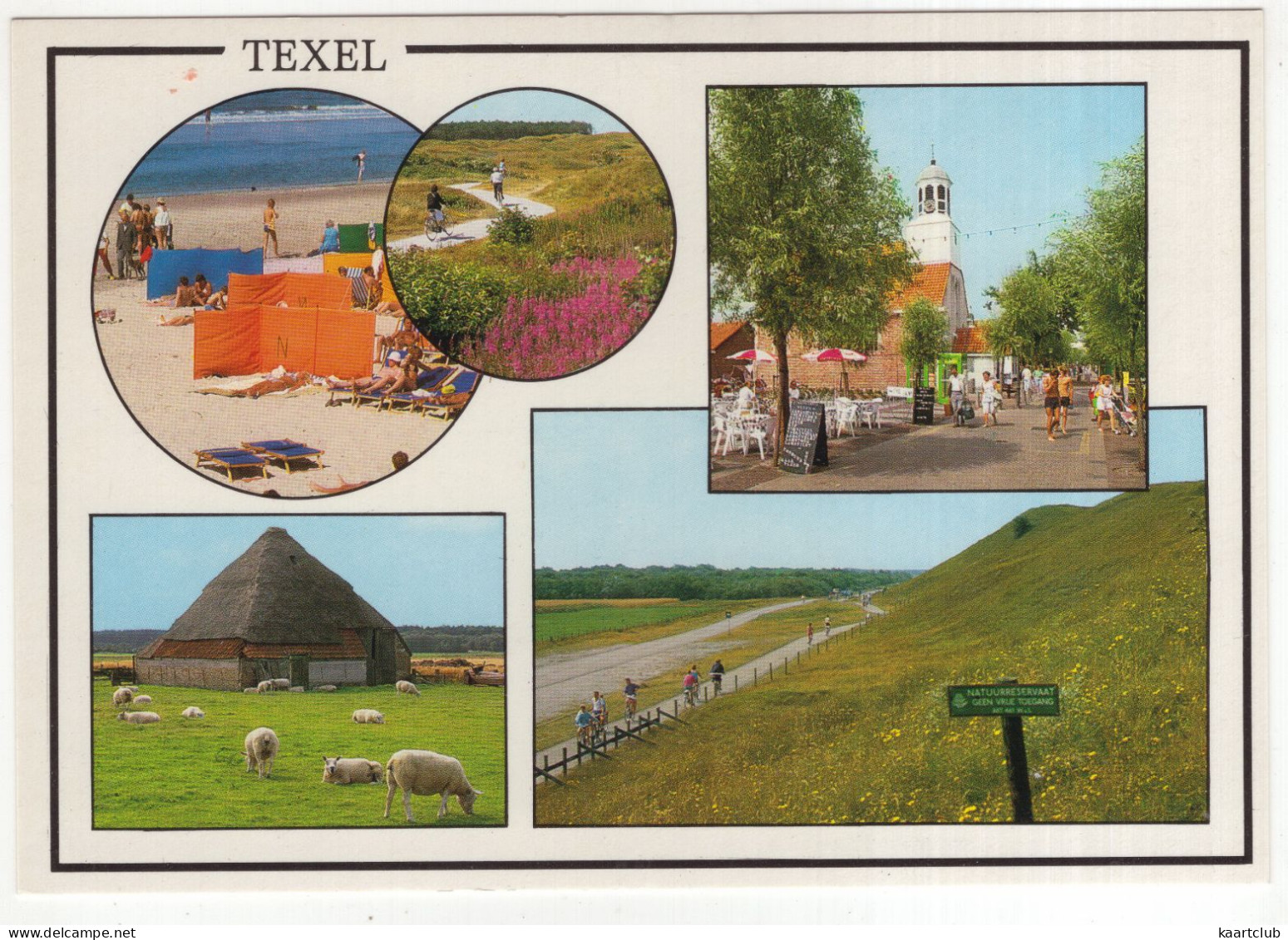 Texel - (Wadden, Nederland/Holland) - Nr. TEL 29 - Texel