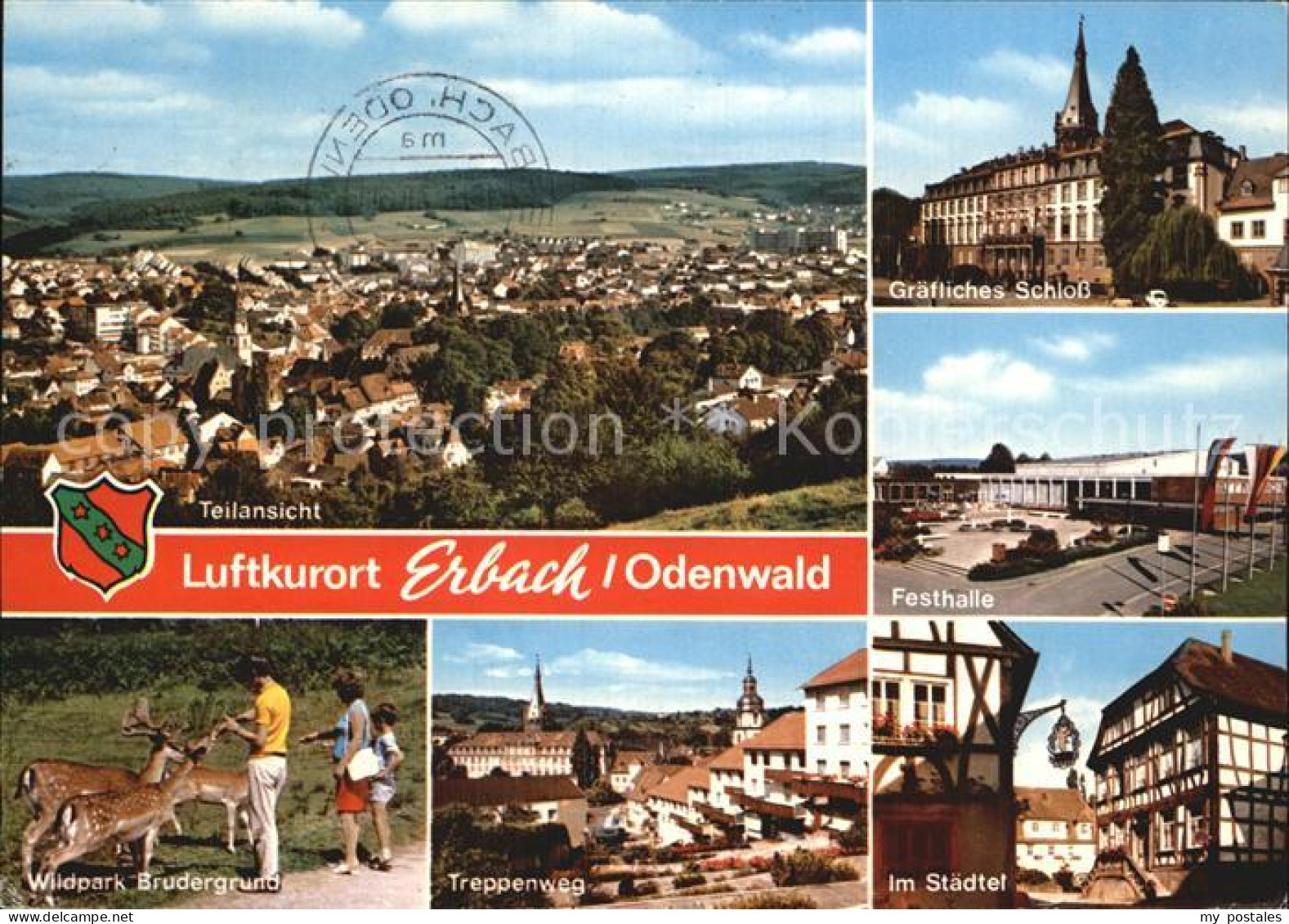 72509927 Erbach Odenwald Schloss Festhalle Wildpark Brudergrund Staedtel Erbach - Erbach