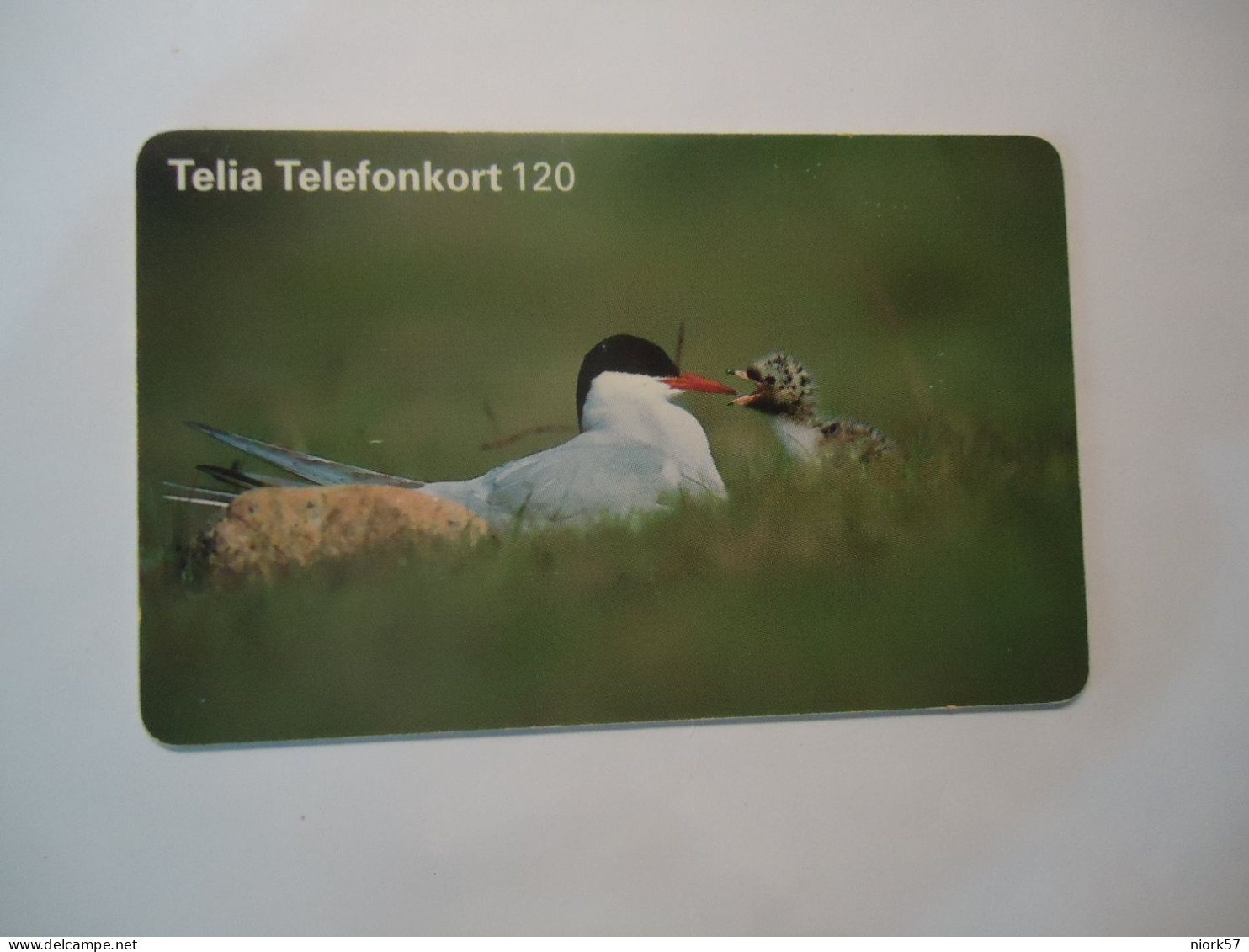 SWEDEN   USED   PHONECARDS  BIRD BIRDS - Otros & Sin Clasificación