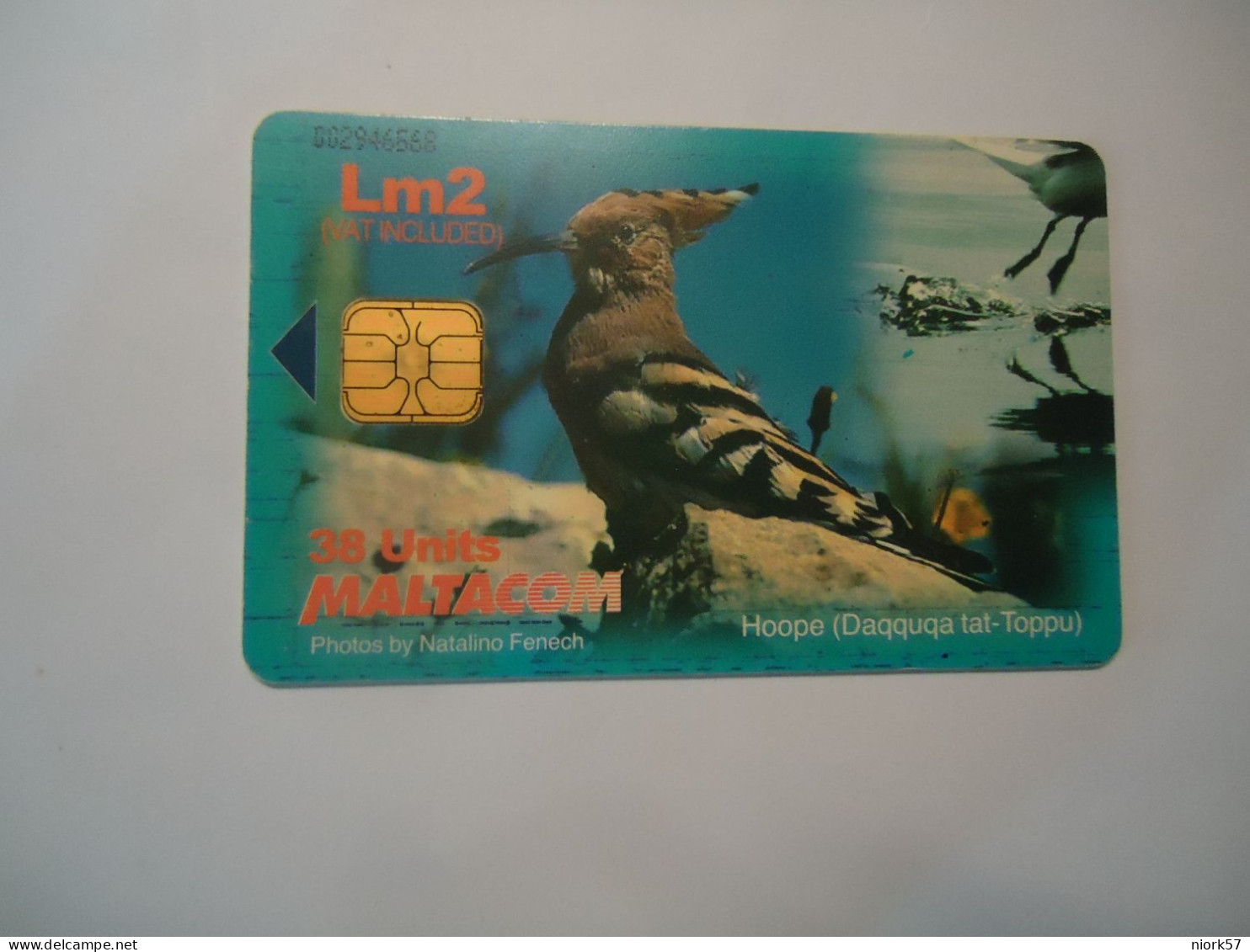 MALTA USED CARDS    BIRD  BIRDS - Other & Unclassified