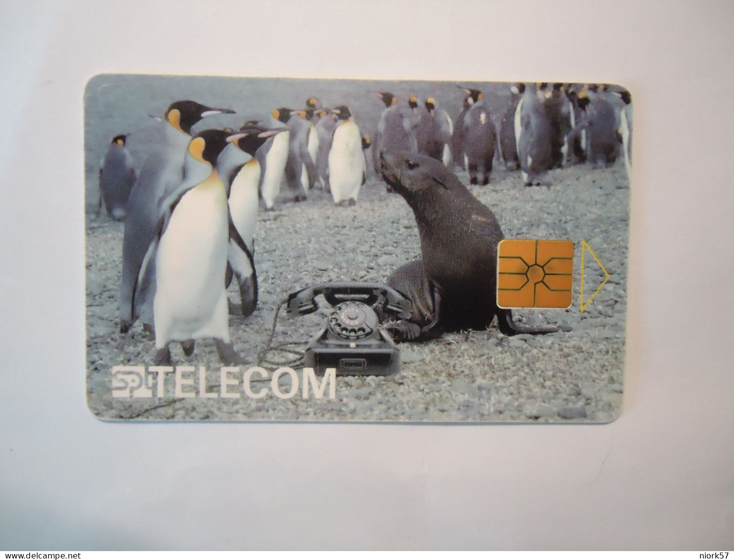 CZECH   USED   PHONECARDS  BIRD BIRDS  PINGUINS - Pinguins