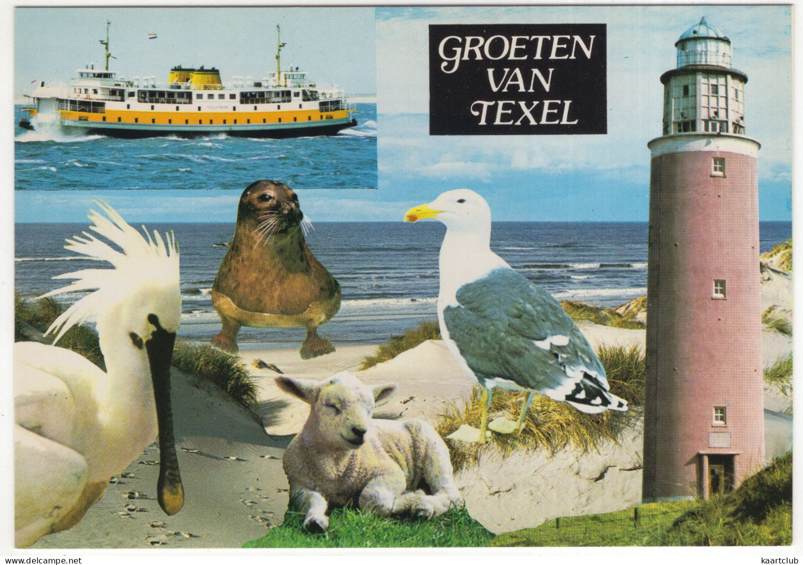 Groeten Van Texel - (Wadden, Nederland/Holland) -   Nr. L 7004 - Texel