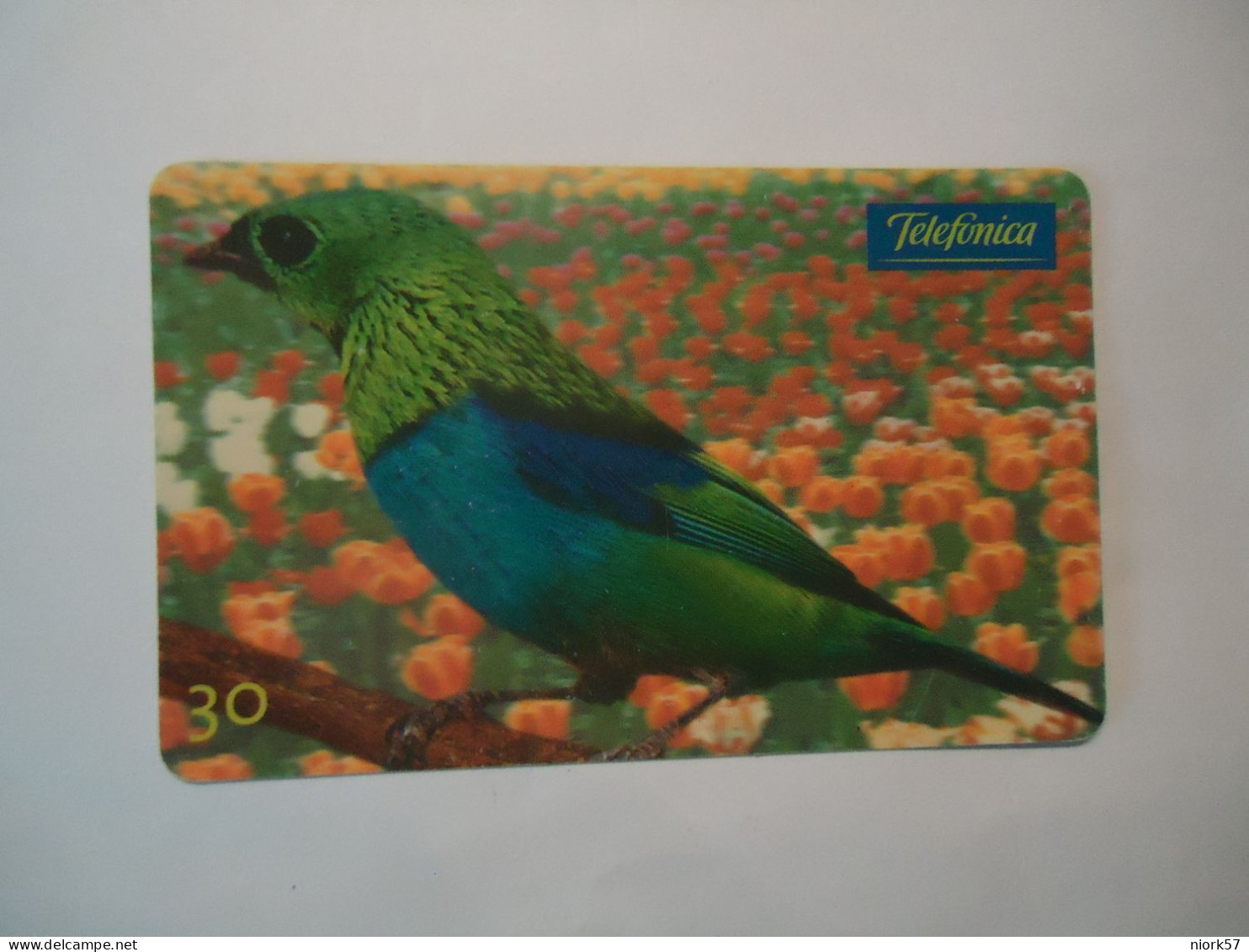 BRAZIL   PHONECARDS  BIRD BIRDS - Adler & Greifvögel