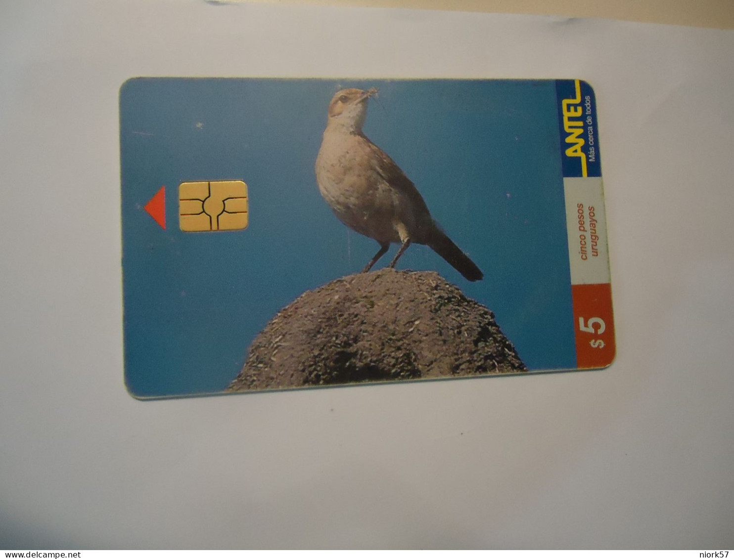 URUGUAY  USED CARDS  BIRD BIRDS - Andere & Zonder Classificatie