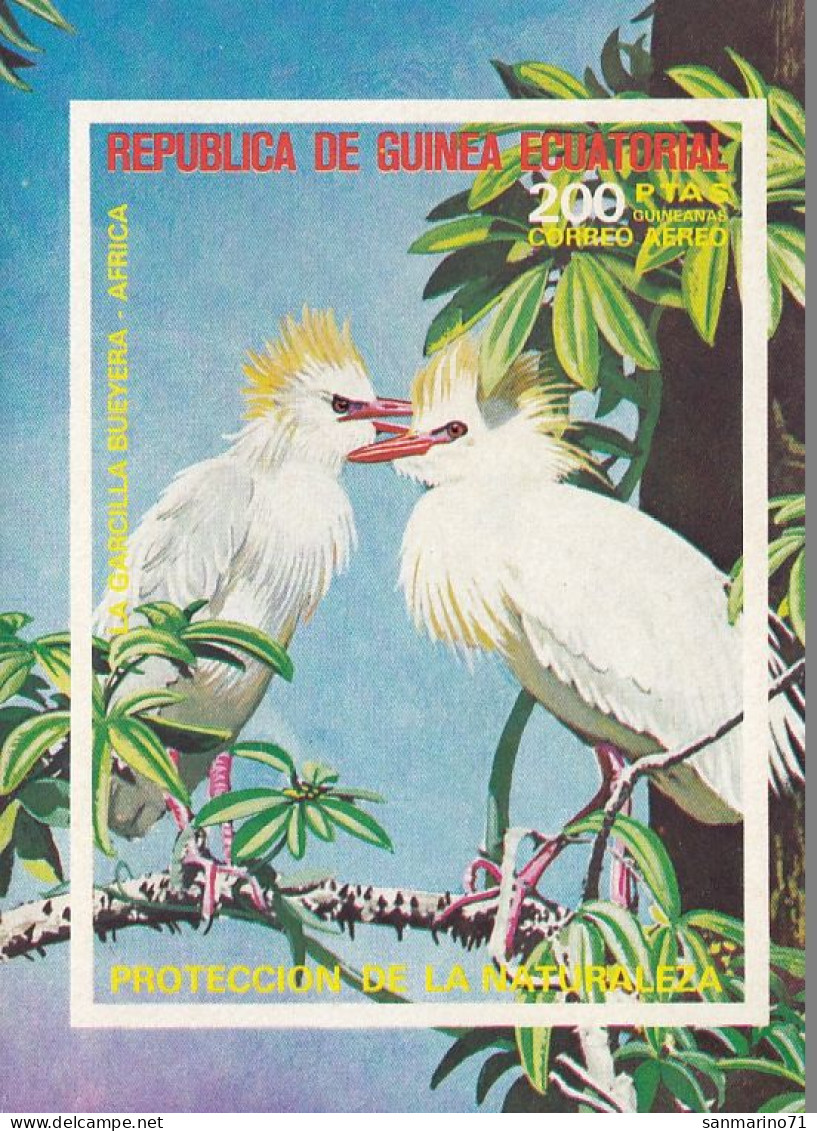 GUINEA EQUATORIAL 997,unused (**) Birds - Äquatorial-Guinea