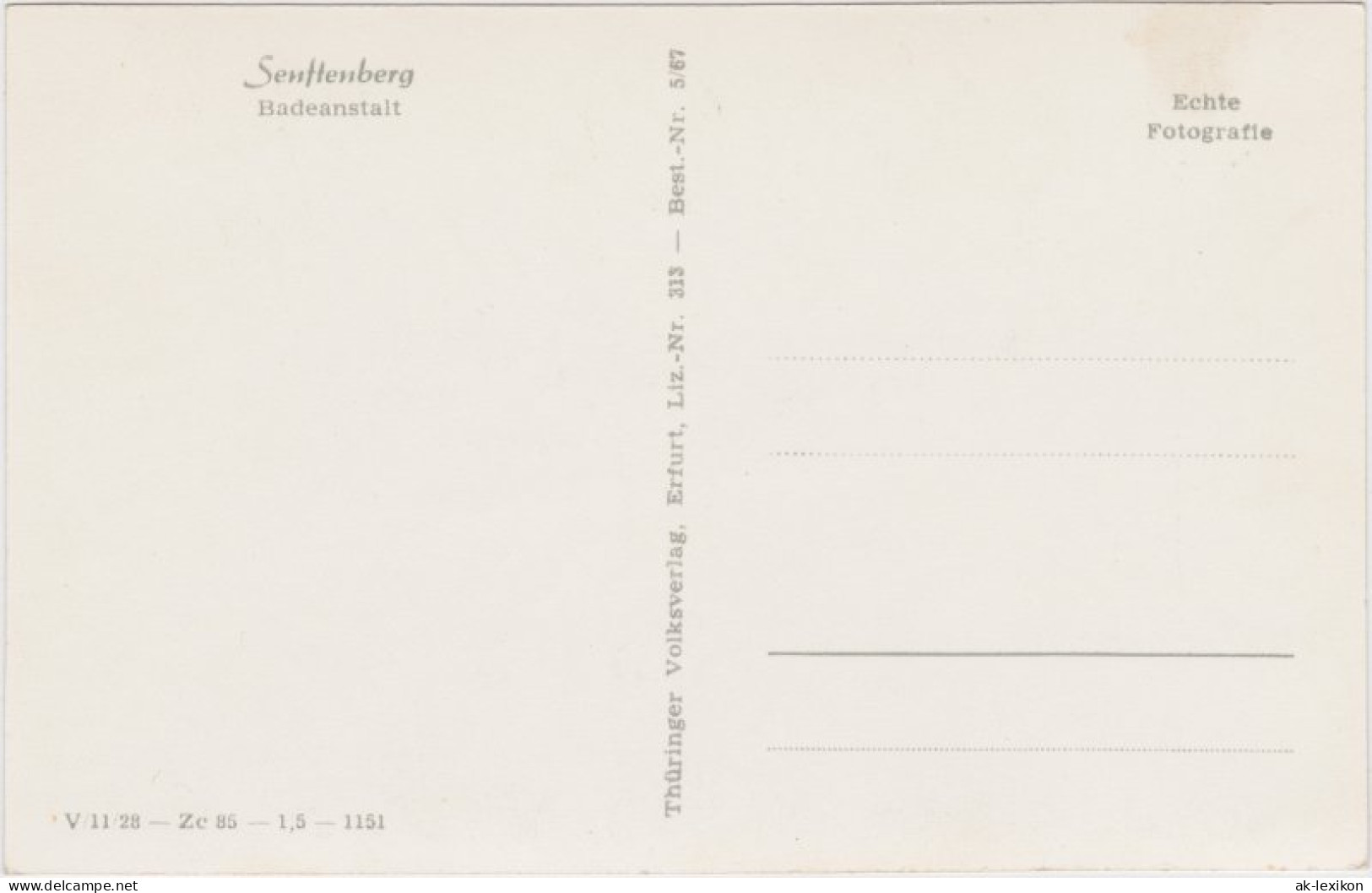 Ansichtskarte Senftenberg (Niederlausitz) Badeanstalt Mit Sprungturm 1953 - Senftenberg