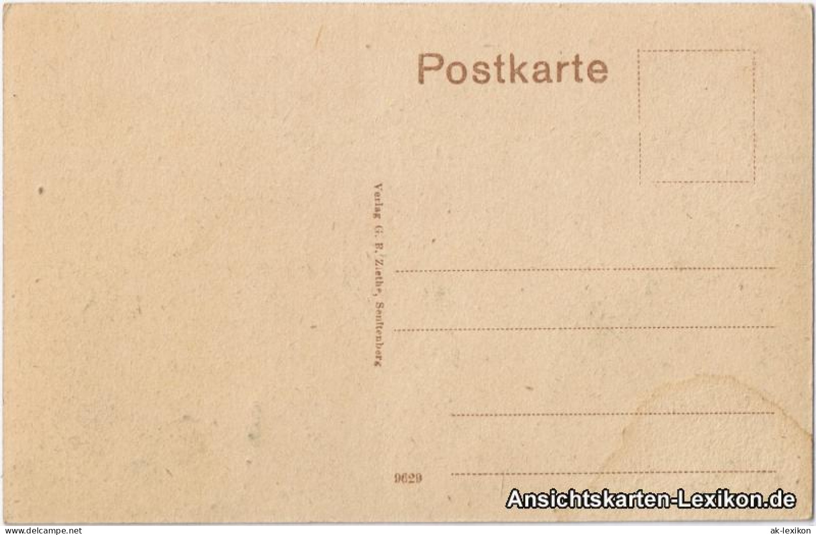 Ansichtskarte Senftenberg (Niederlausitz) Partie Im Kaiser Wilhelm Park 1920 - Senftenberg