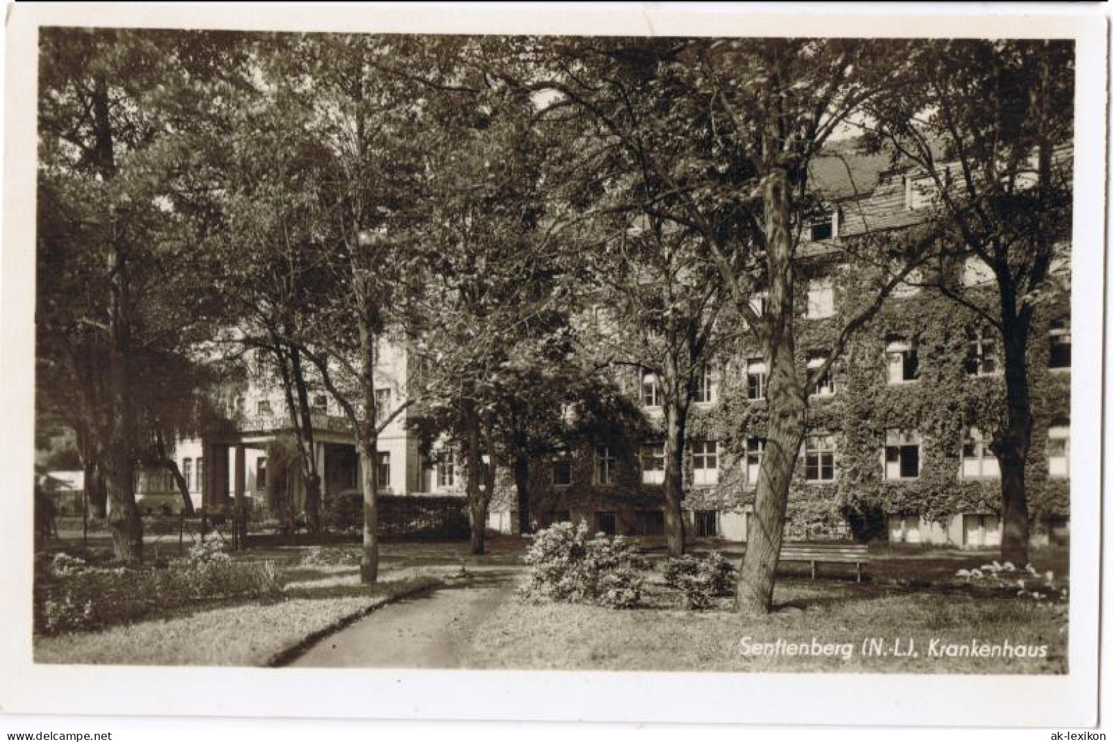 Ansichtskarte Senftenberg (Niederlausitz) Krankenhaus (Foto AK) 1953 - Senftenberg