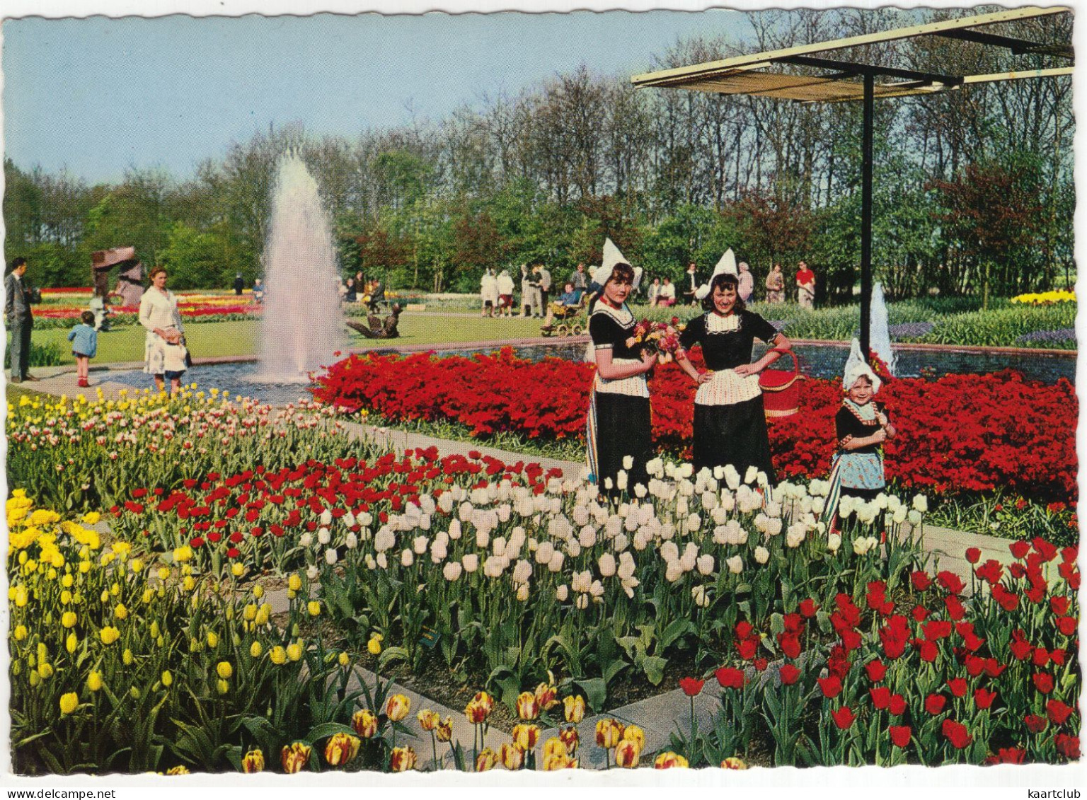 Keukenhof Lisse - Bloembollen - (Holland) - Zwiebelblumen/Bulbs/Bulbes - Lisse