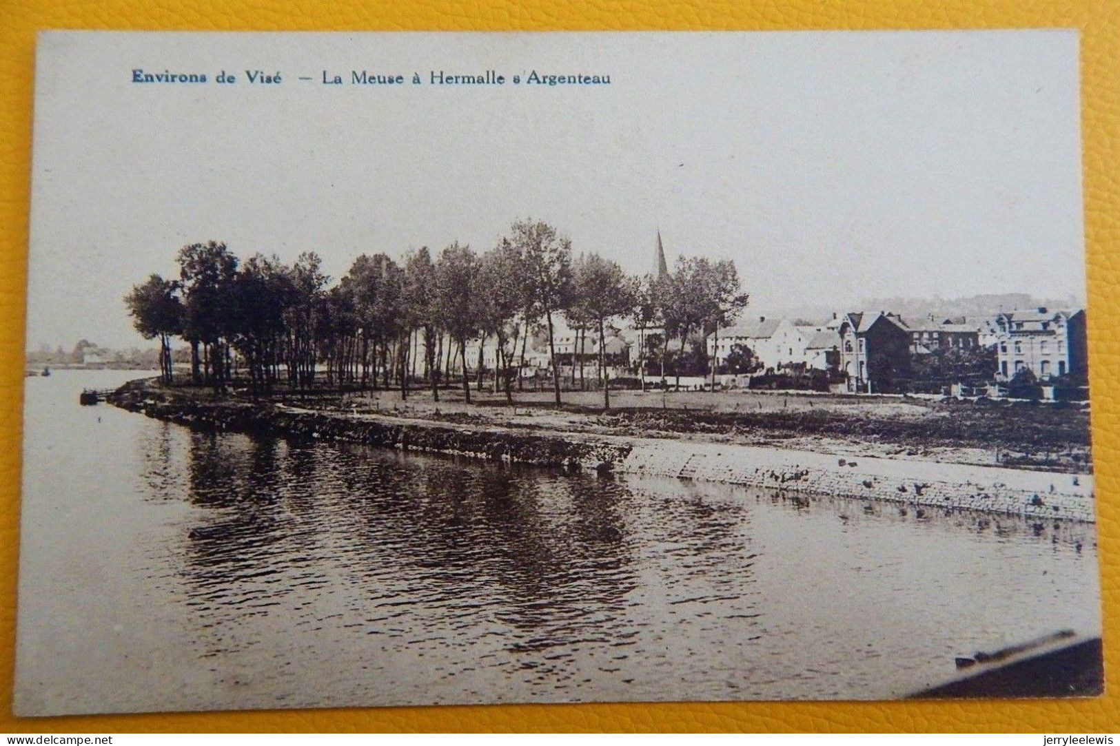 VISE  (environs)  -  La Meuse à Hermalle Sous Argenteau - Visé