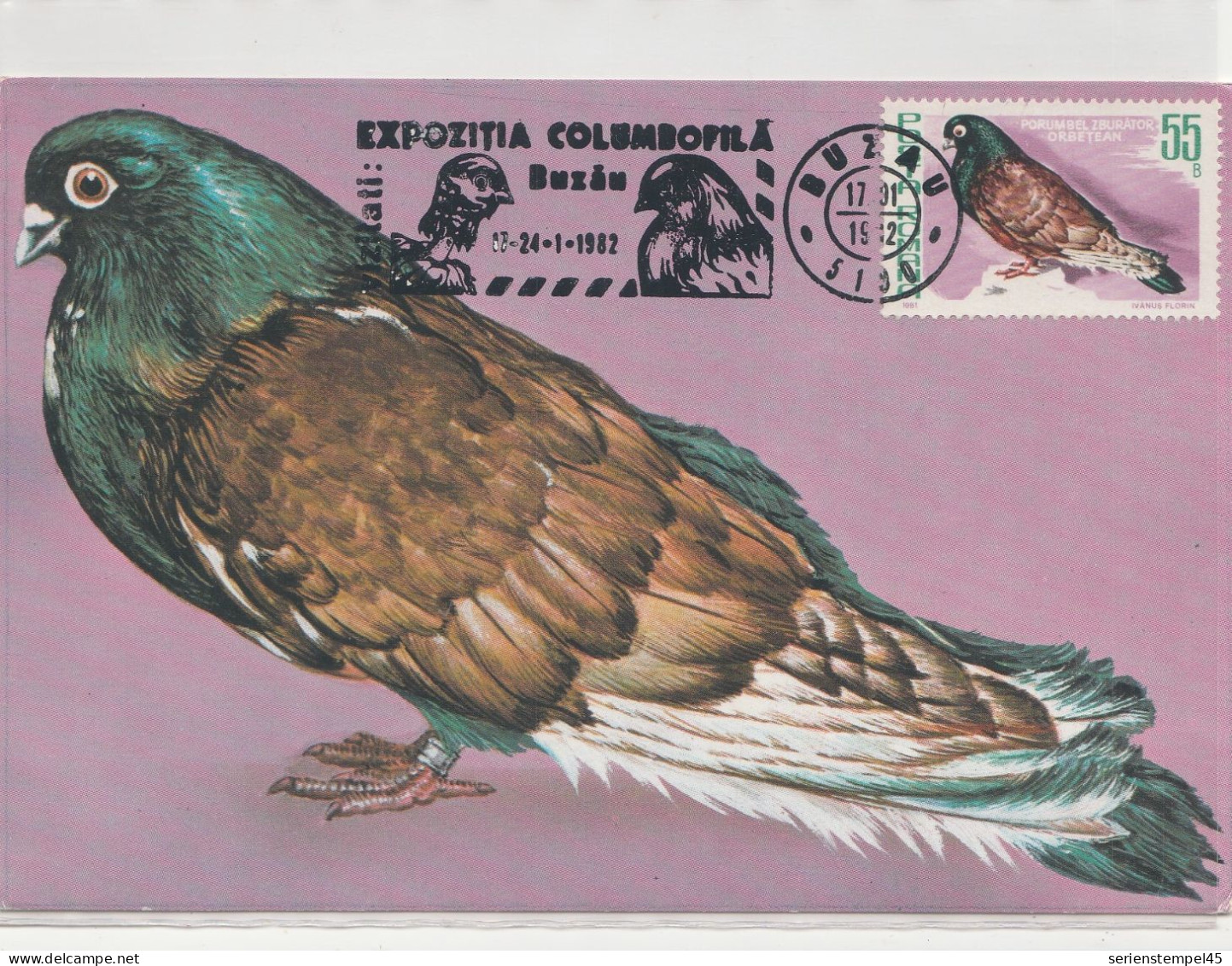 Motive Tierwelt & Fauna  Vögel Tauben Rumänien Maxikarte 1982 Mit Taube 55 B - Pigeons & Columbiformes