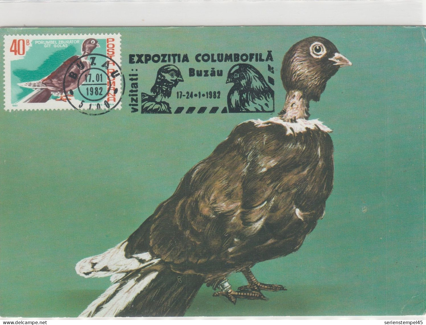 Motive Tierwelt & Fauna  Vögel Tauben Rumänien Maxikarte 1982 Mit Taube 40 B - Pigeons & Columbiformes